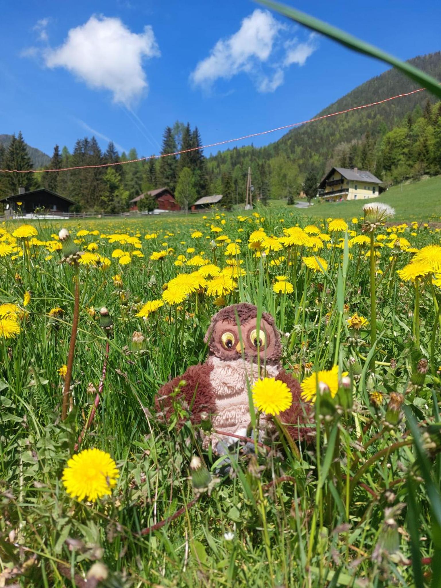 Alpenloft Theresia