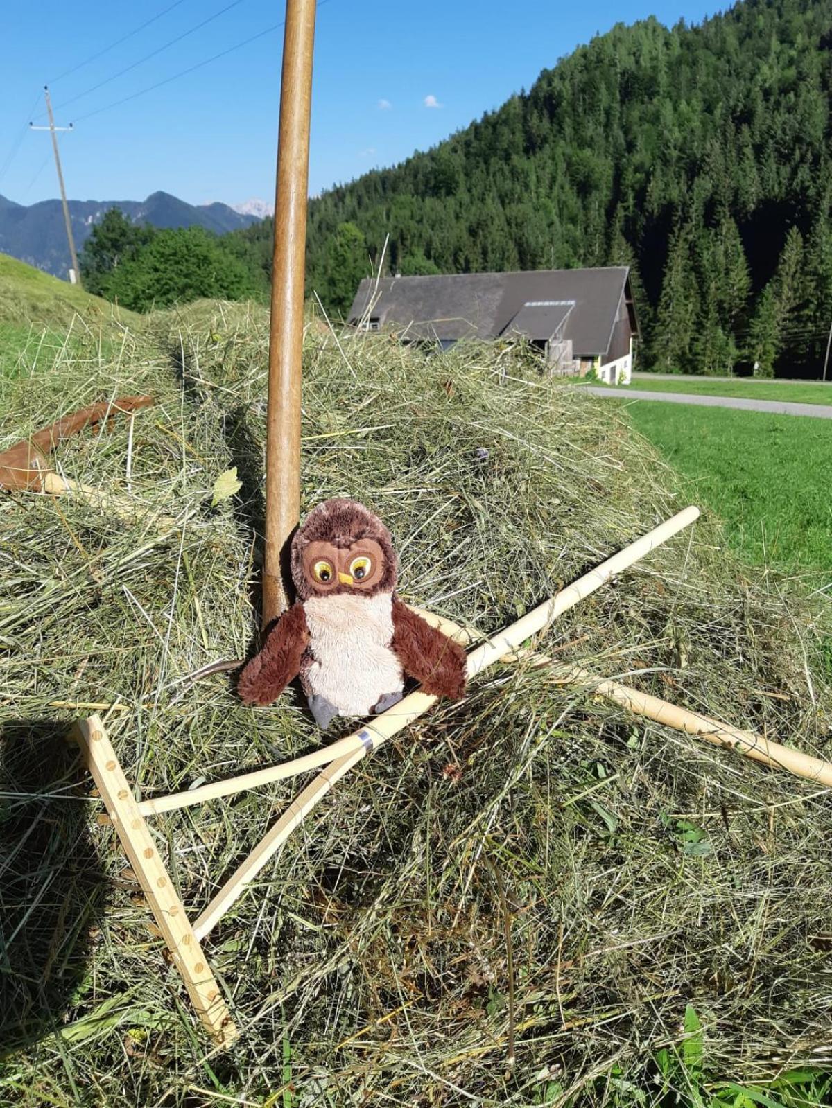 Alpenloft Theresia