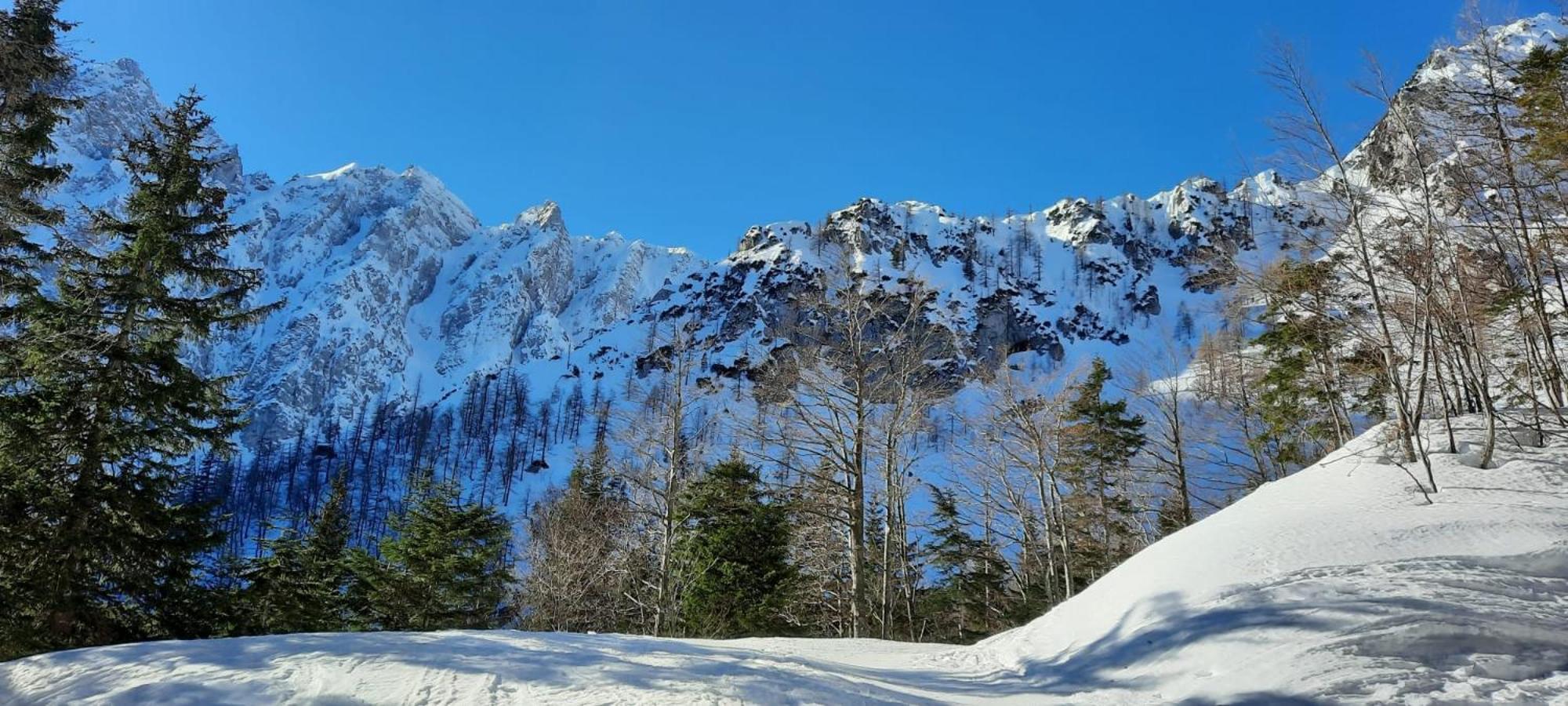 Alpenloft Theresia