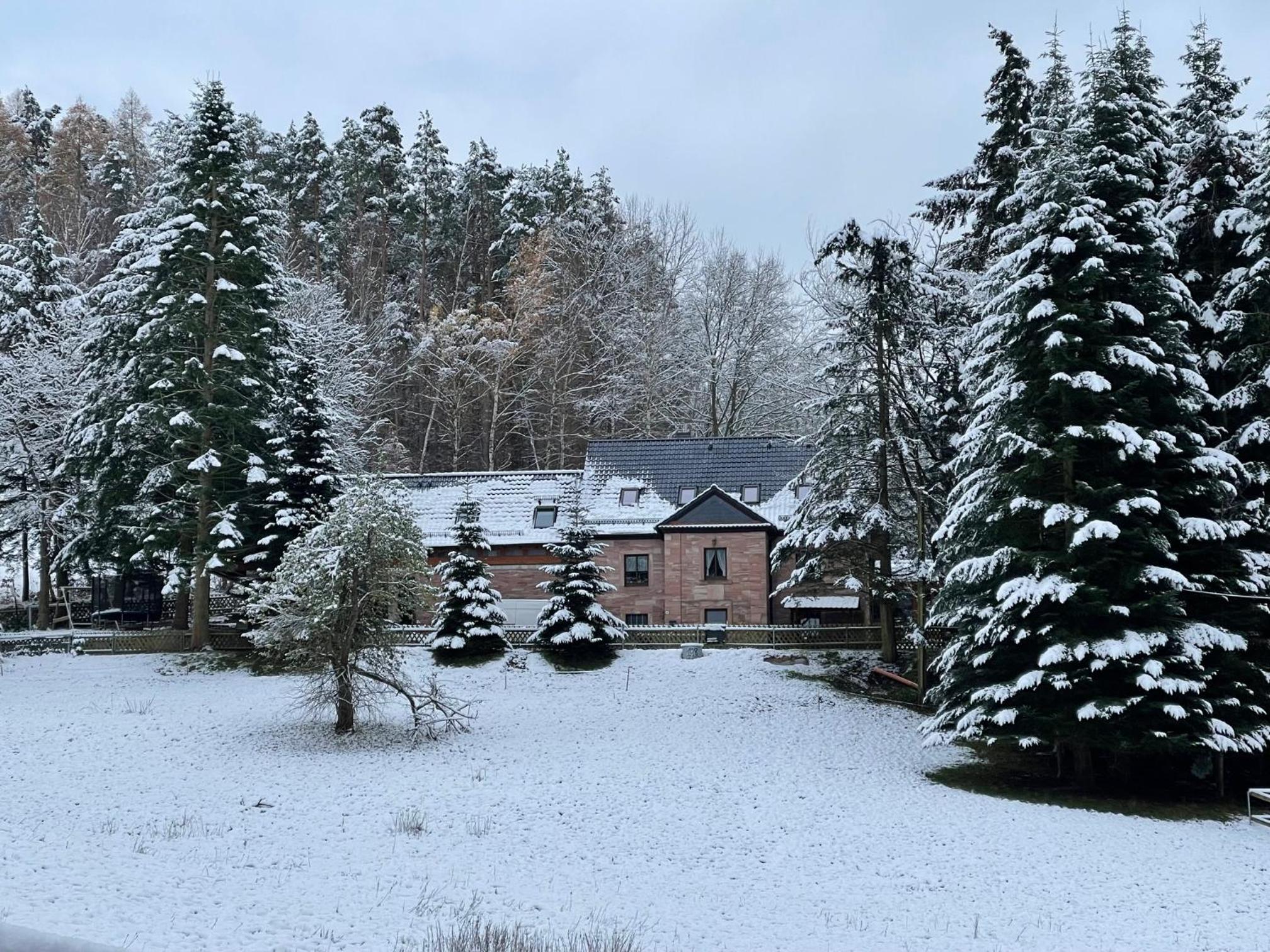 Apartment im Wald - mit Schwimmbad! - Property Image 19