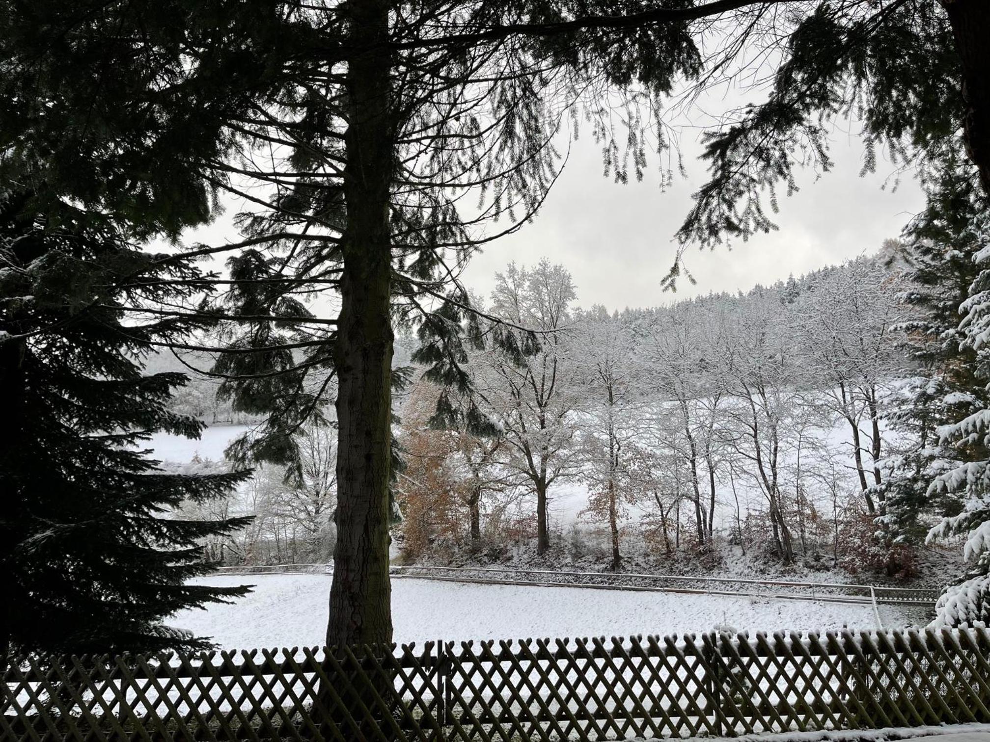 Apartment im Wald - mit Schwimmbad! - Property Image 14