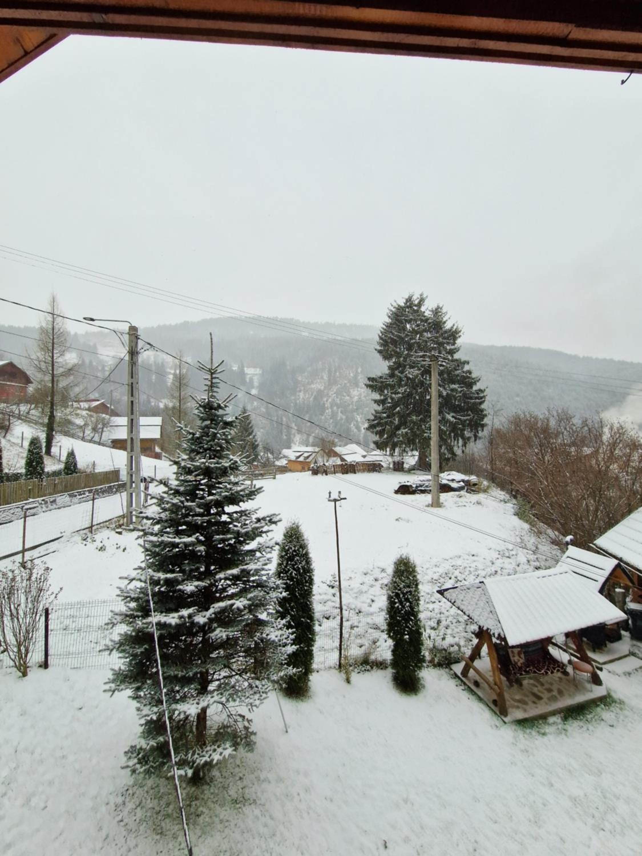Photo 39