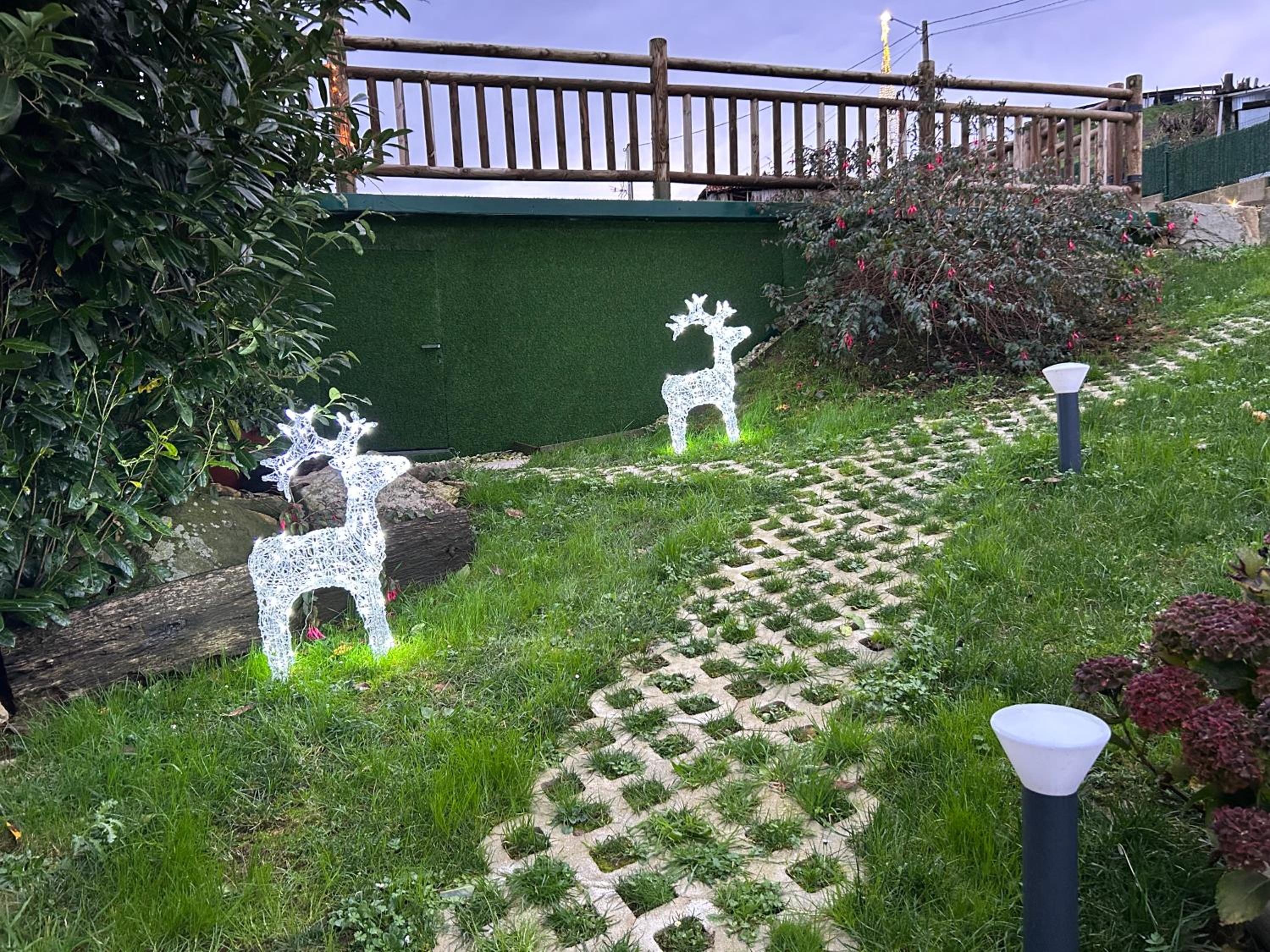 Photo 44