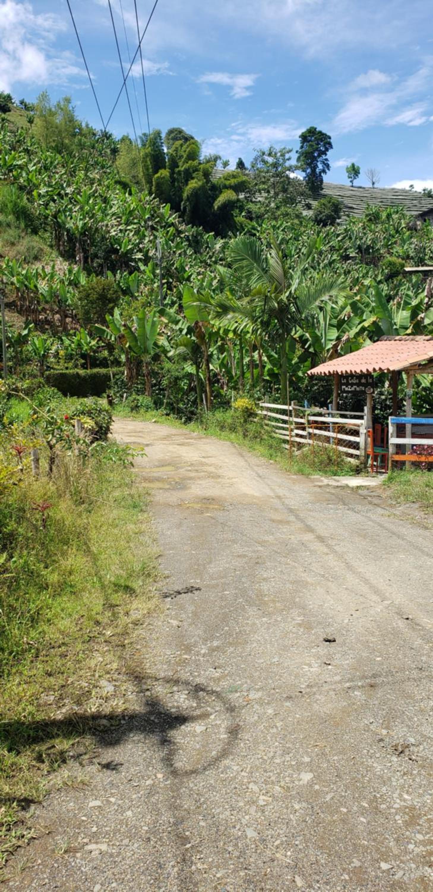 PaloSanto, Casa Rural