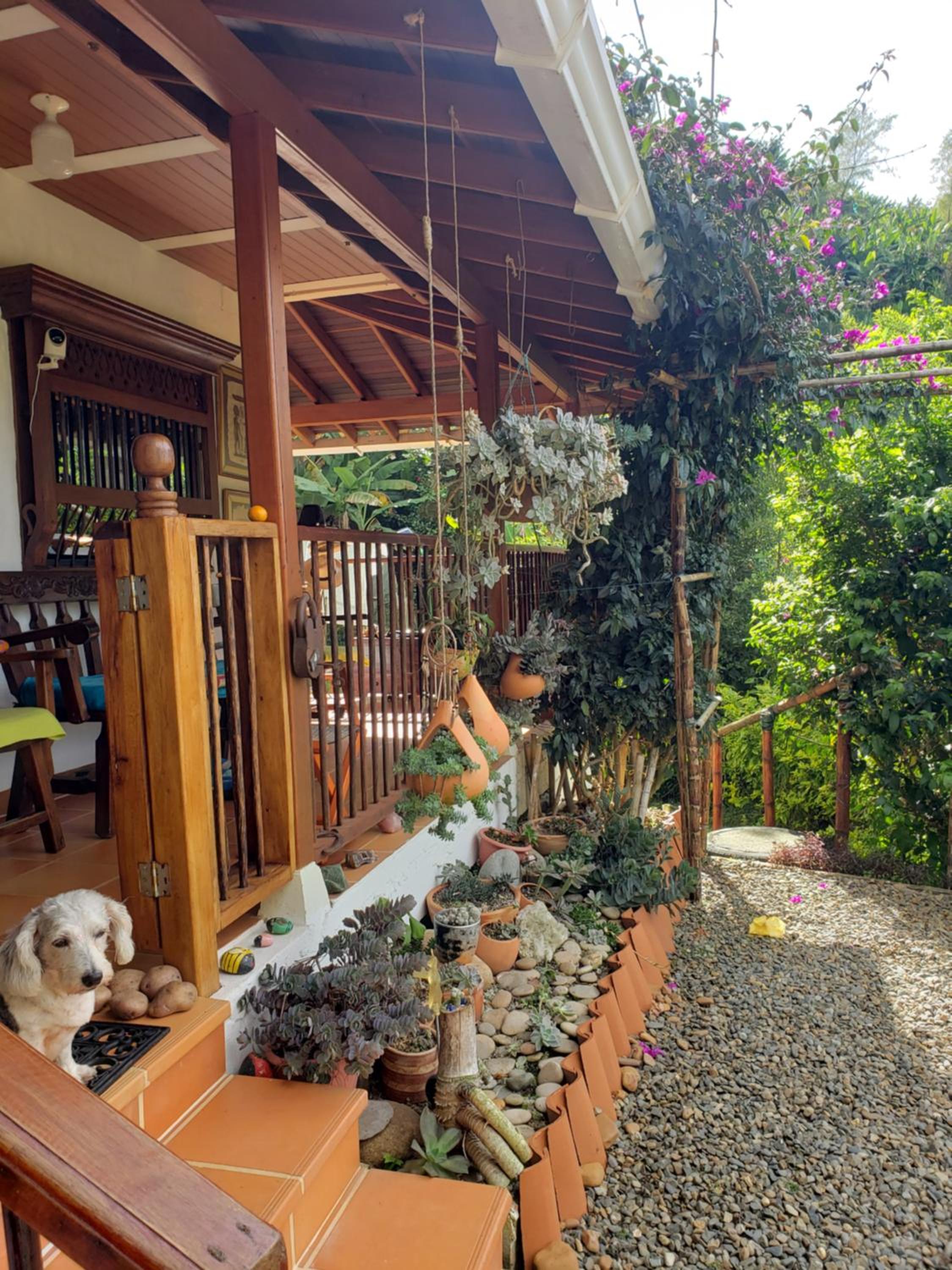 PaloSanto, Casa Rural