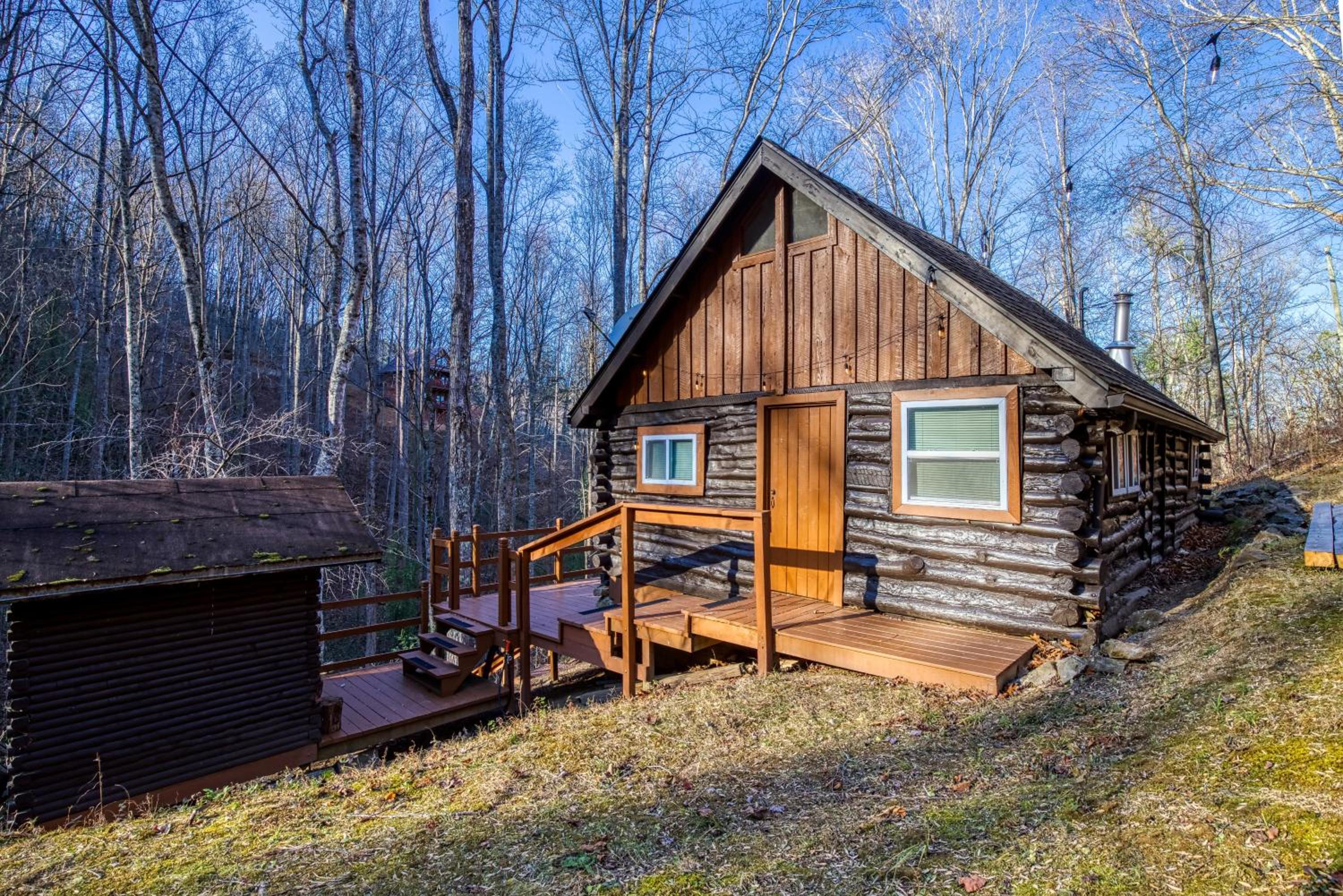 Cove Mountain Cabin view 4