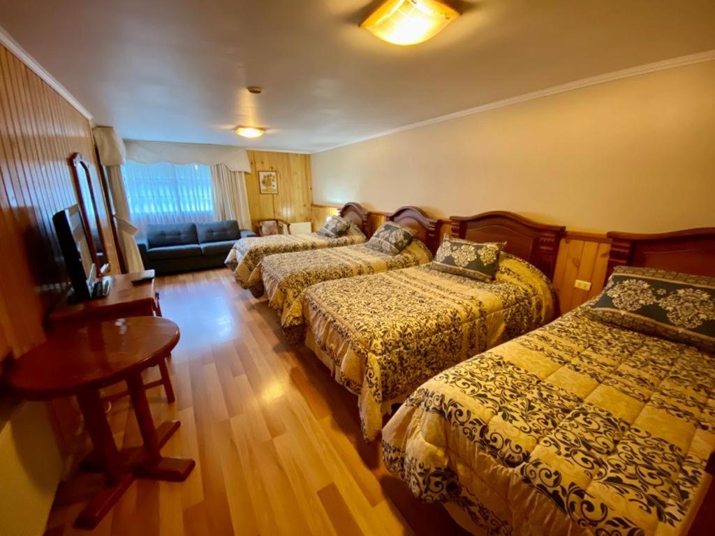 Hostal Collins House
