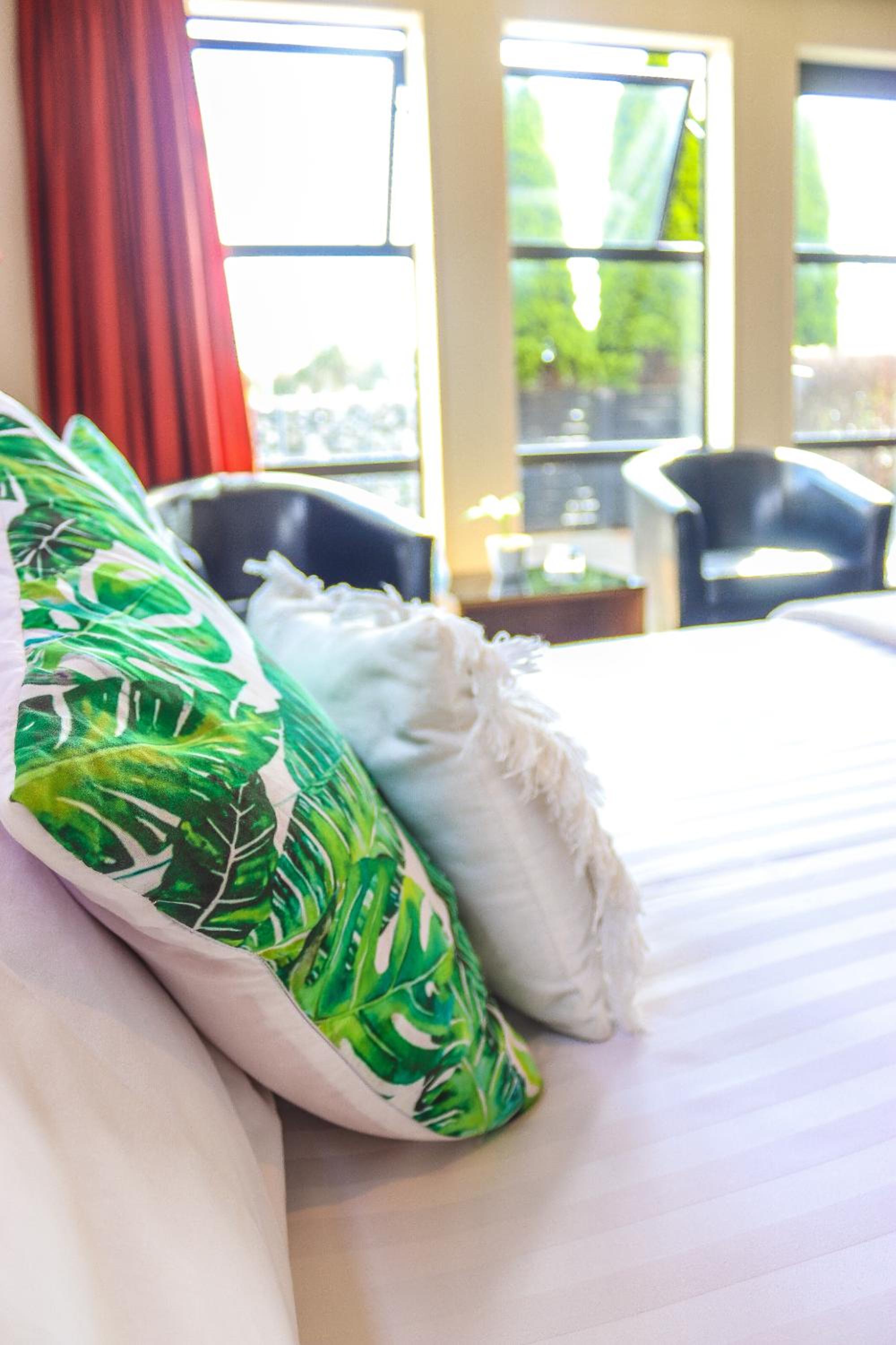 Coleraine Suites & Apartments