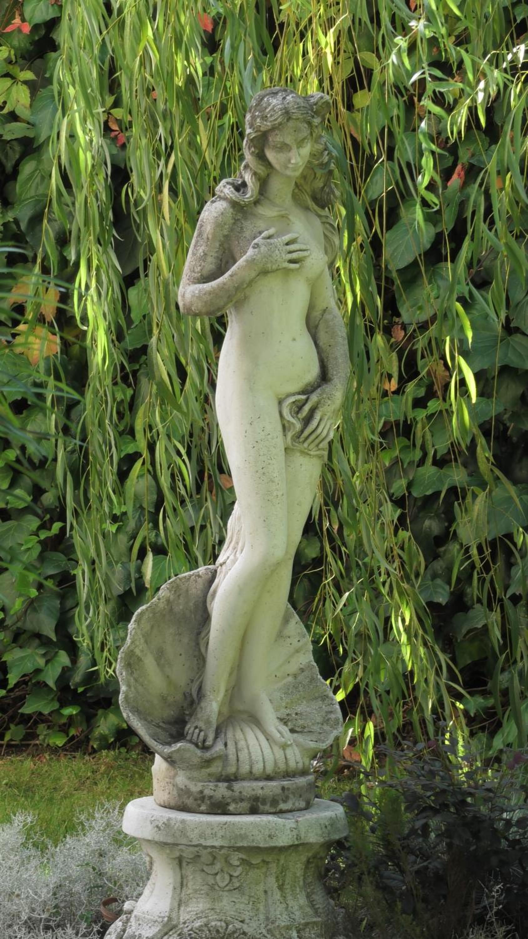 Photo 24