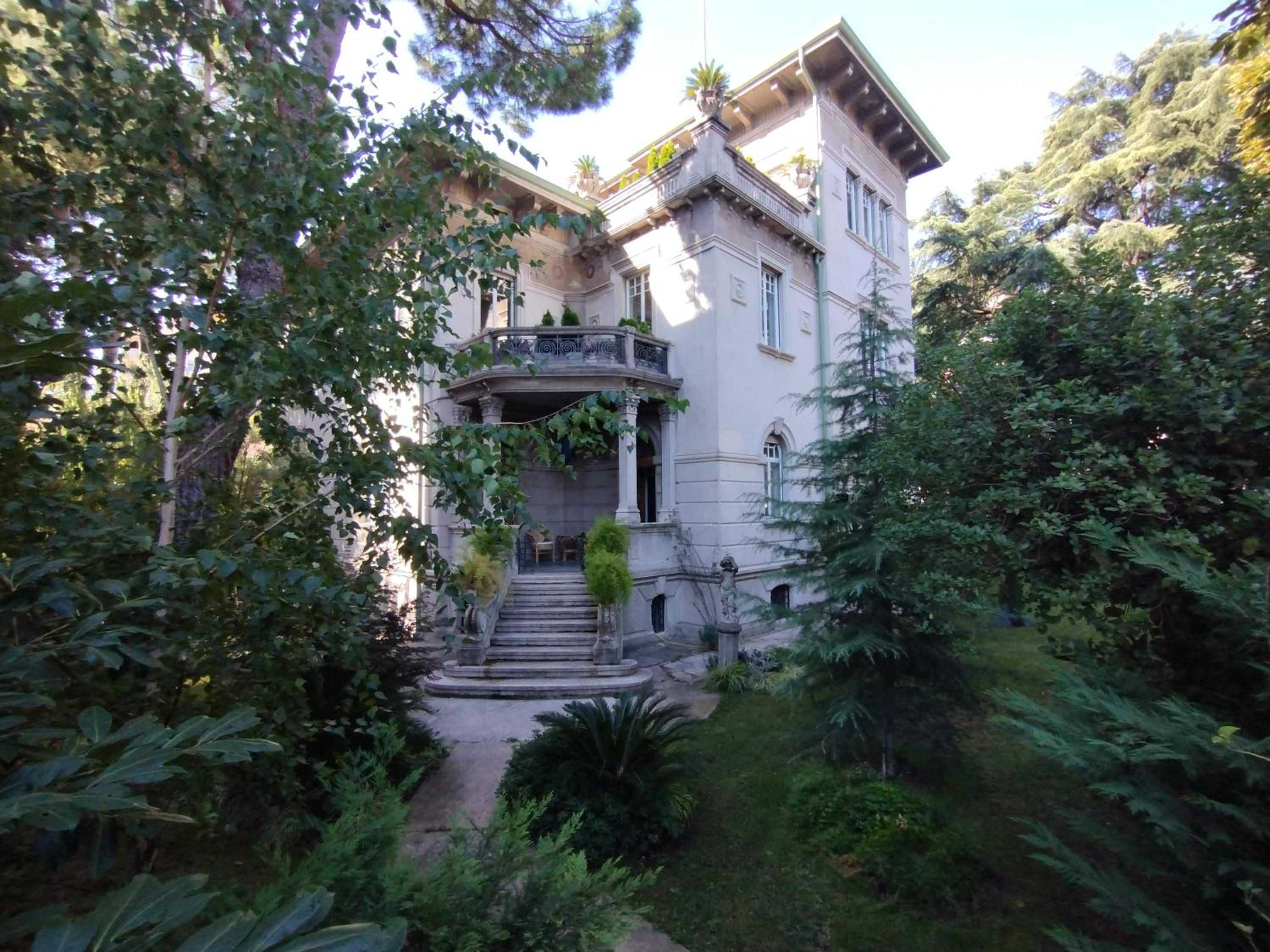 Photo 45