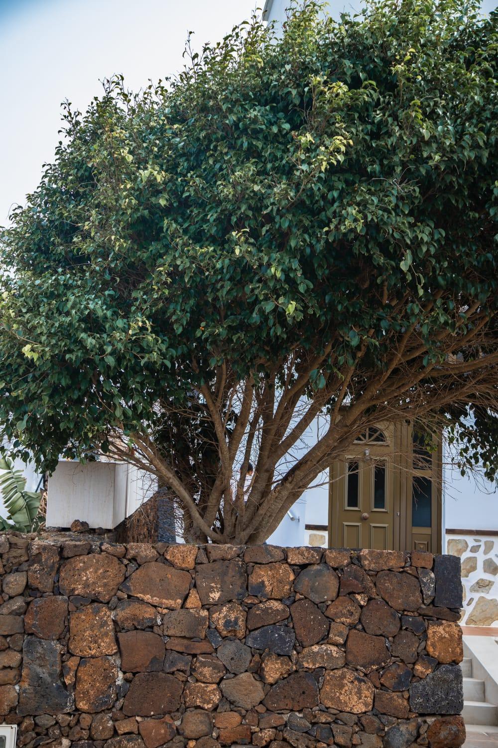 Casa volcán de caldera blanca