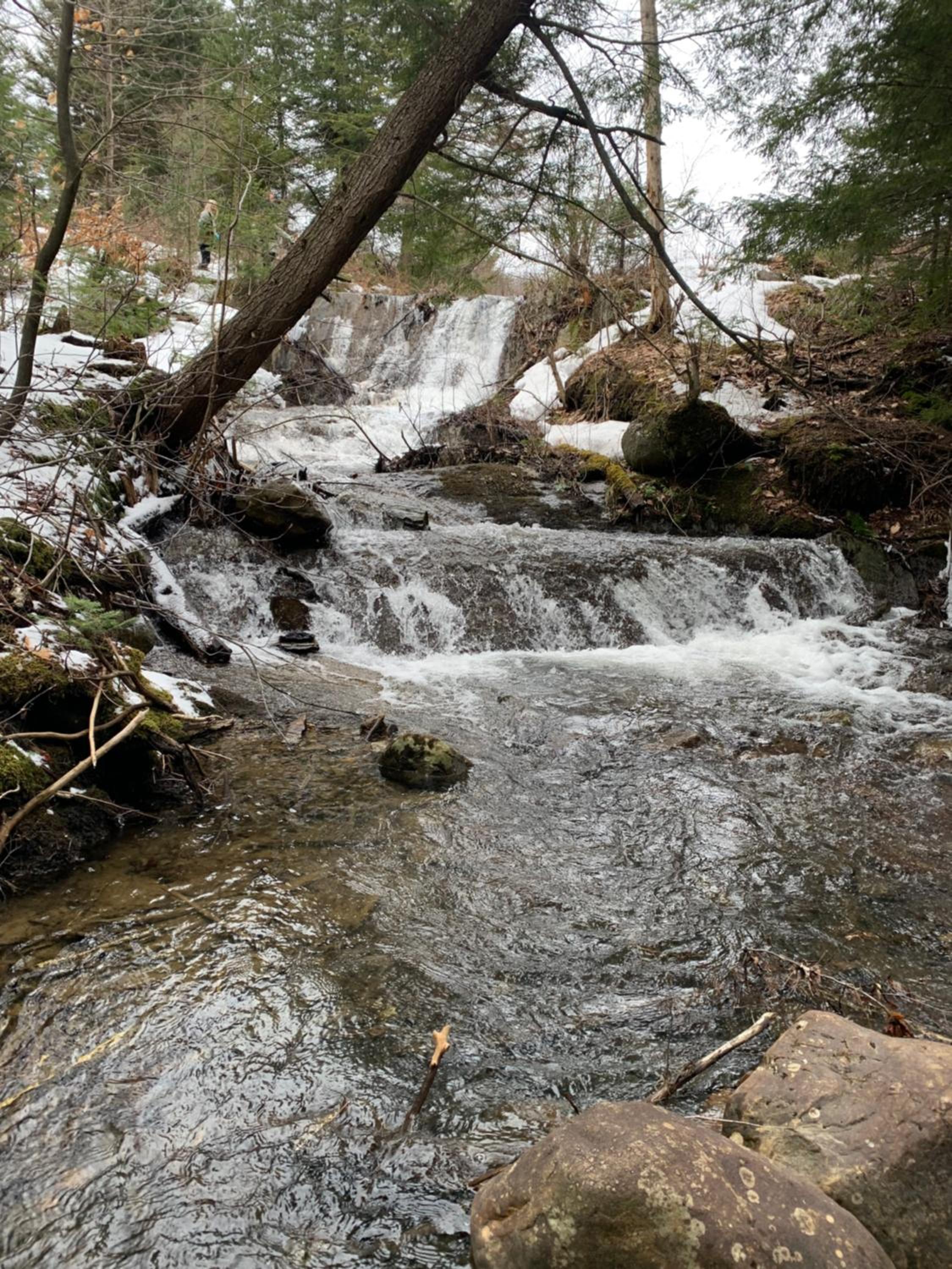 Photo 33
