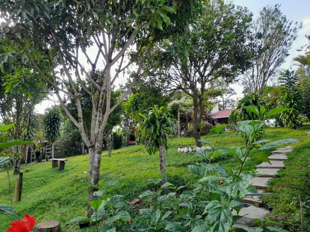 Finca Hotel La Venia Bendita Quindio