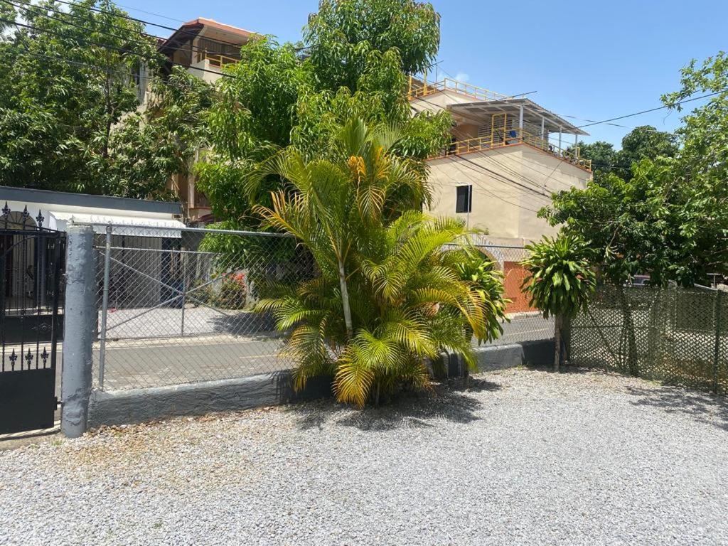 Caribbean Domicile