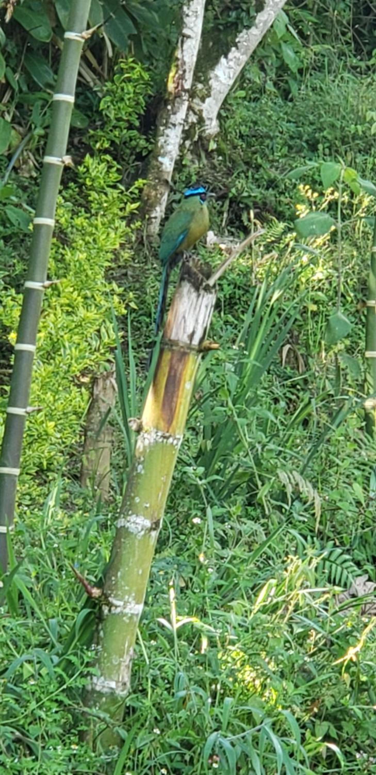 PaloSanto, Casa Rural