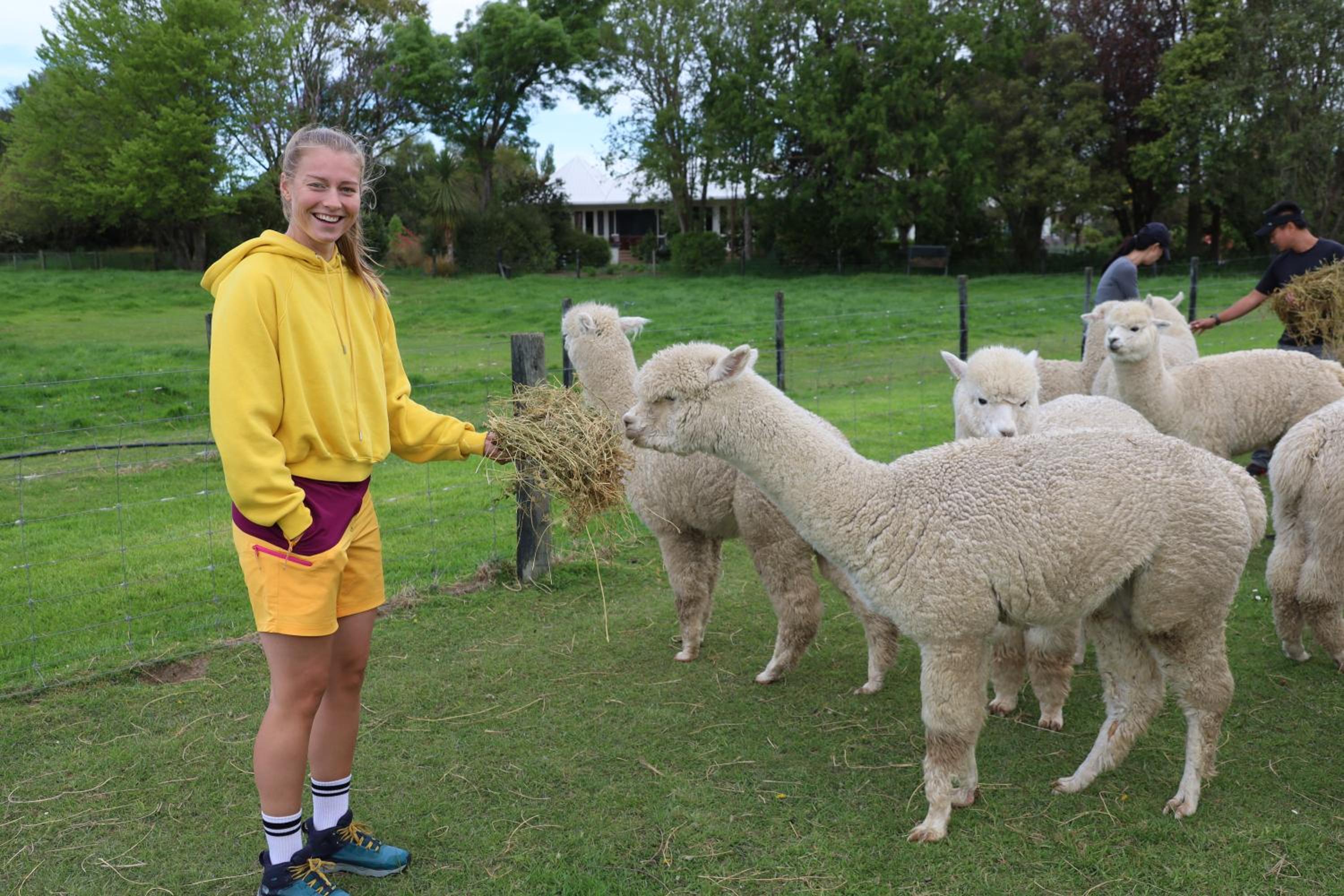 Silverstream Alpaca Farmstay & Tour