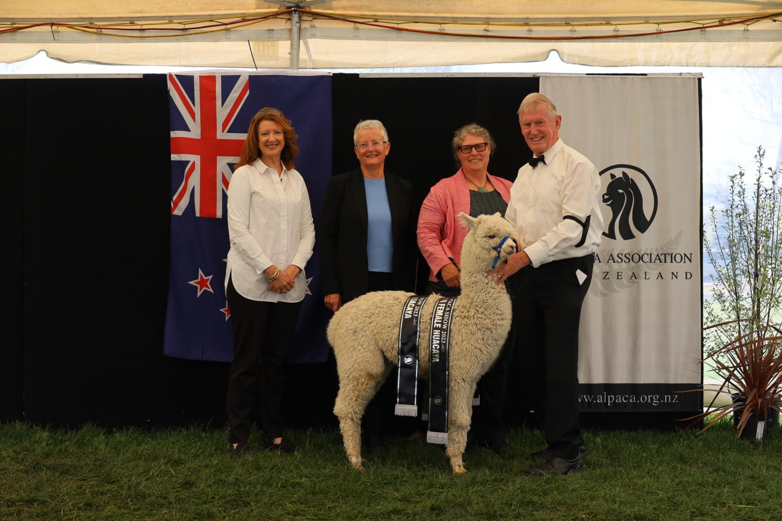 Silverstream Alpaca Farmstay & Tour