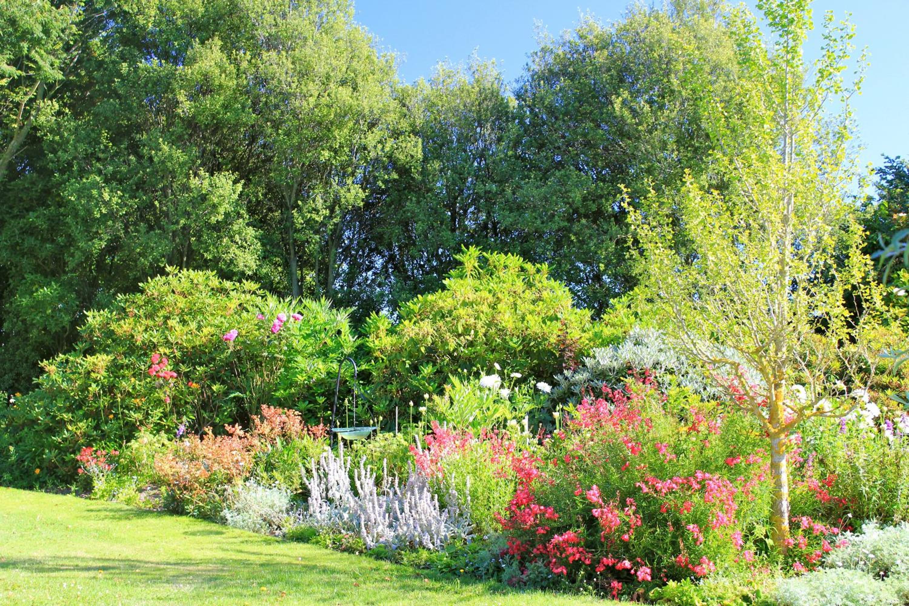 Silverstream Alpaca Farmstay & Tour