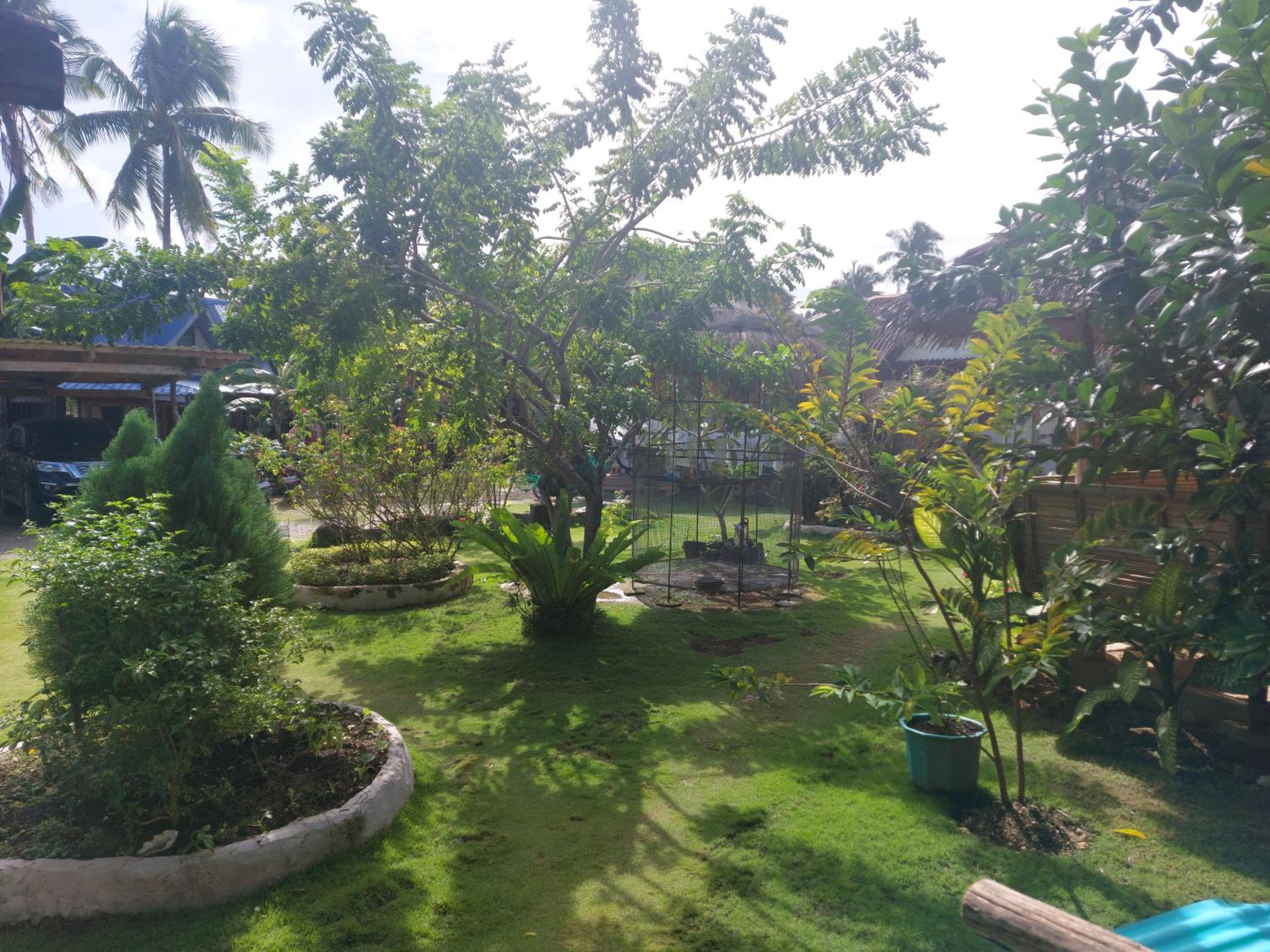 Gardenview Homestay Siargao — photo 61