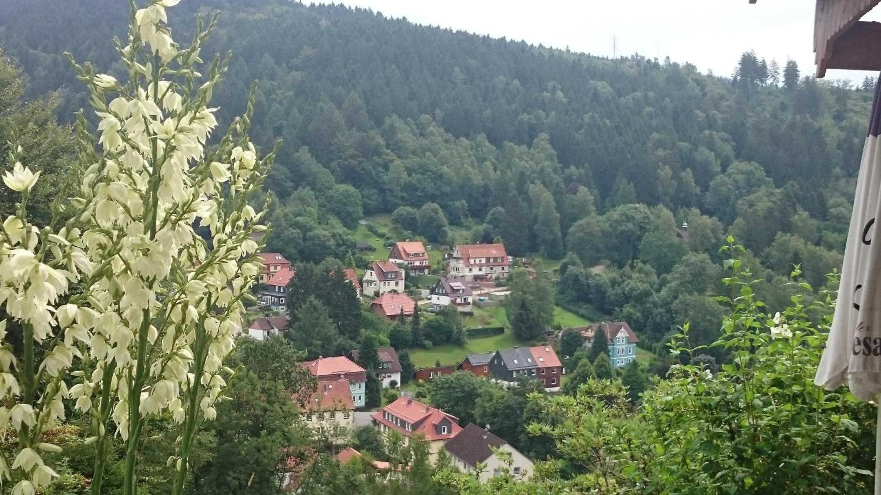 Pension Talblick Bad Grund