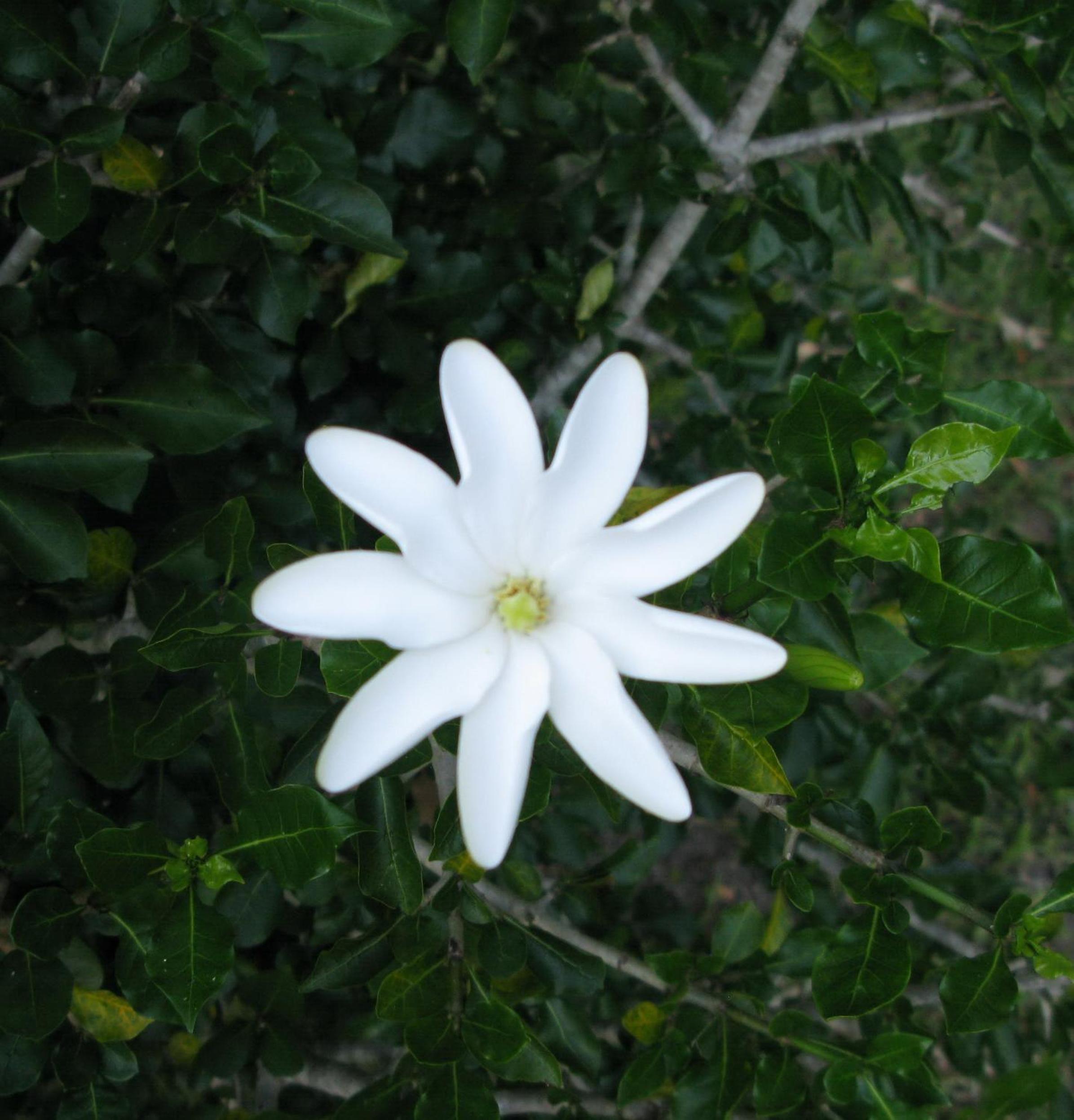 Photo 86
