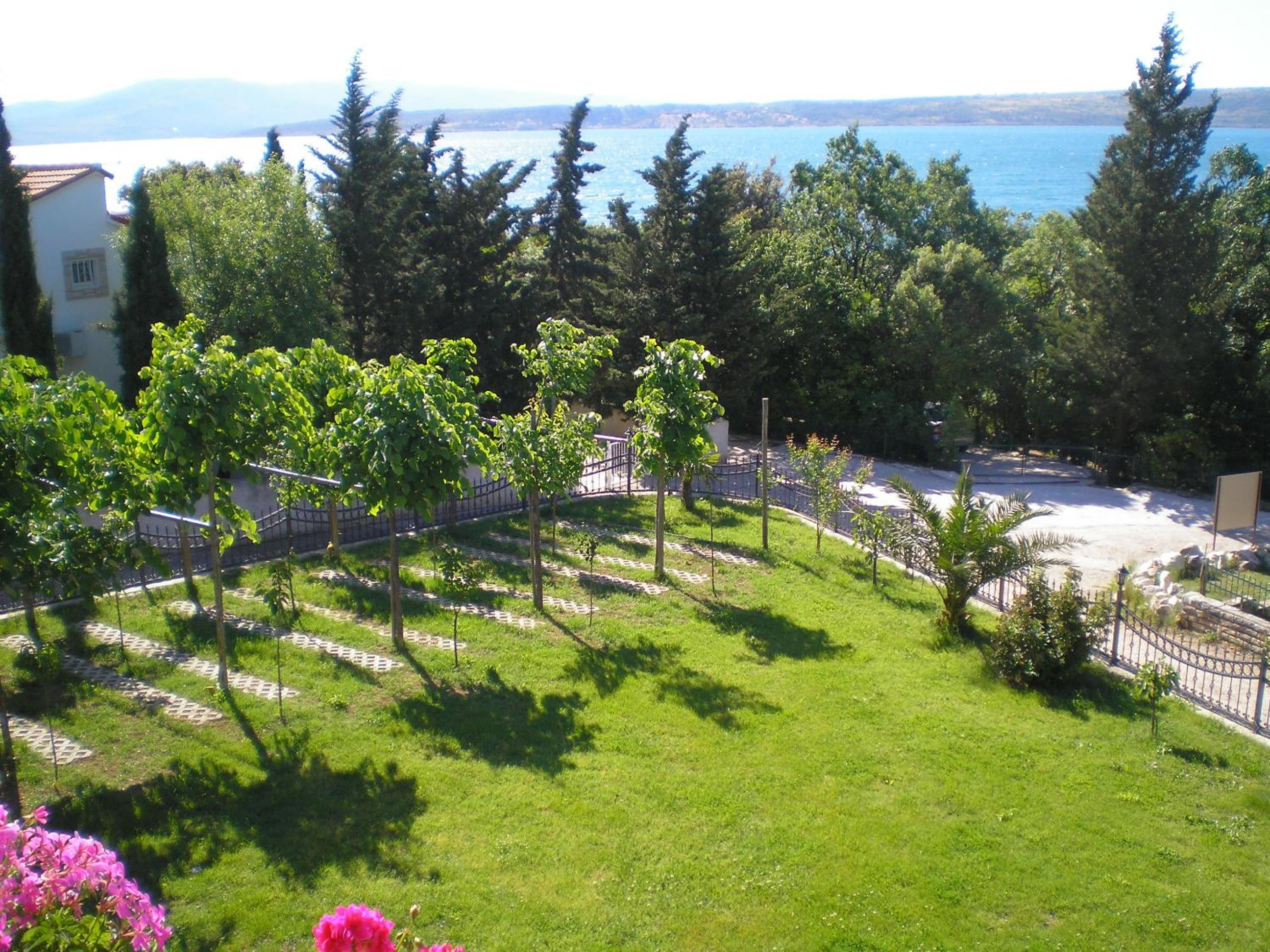 Photo 82