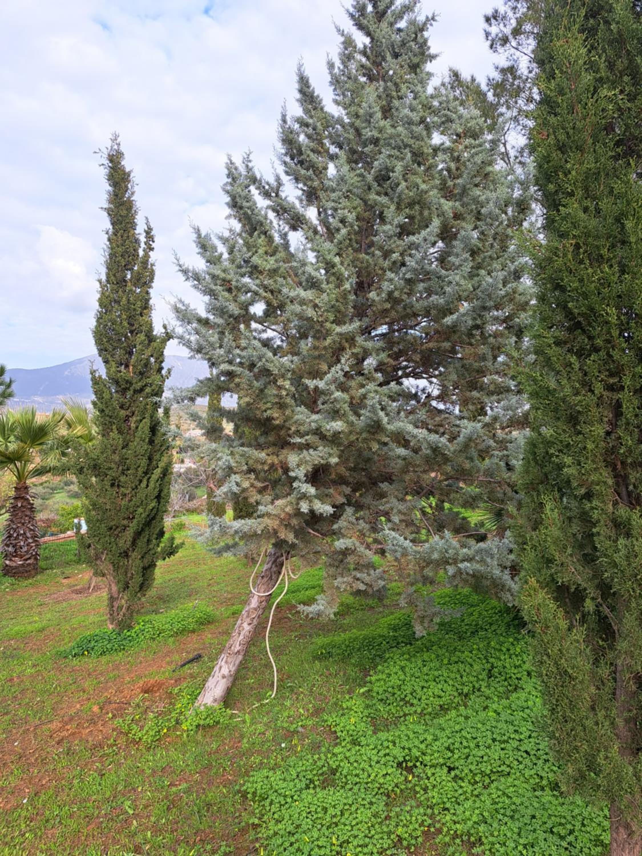 Villa LA DACHA