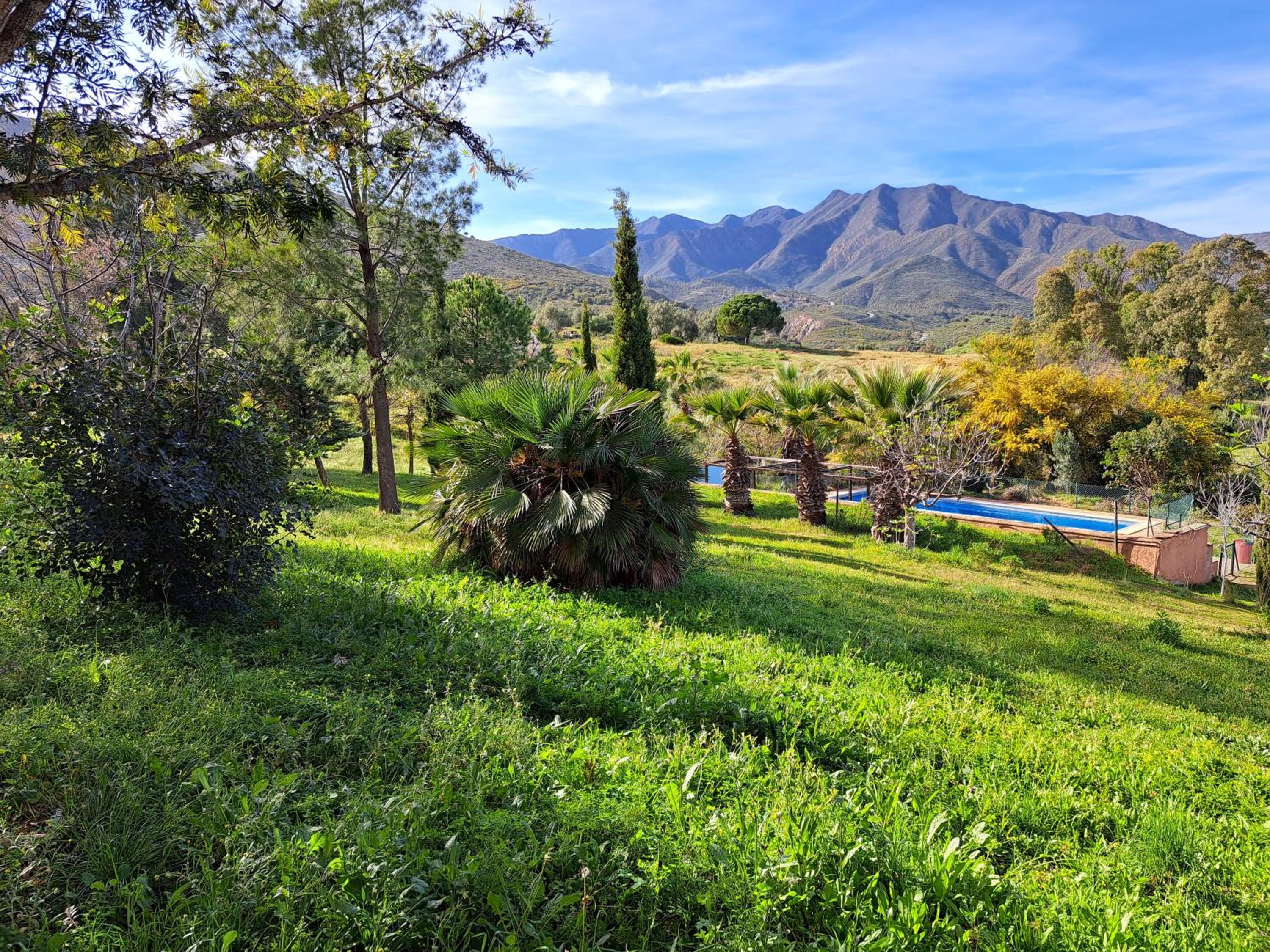 Villa LA DACHA