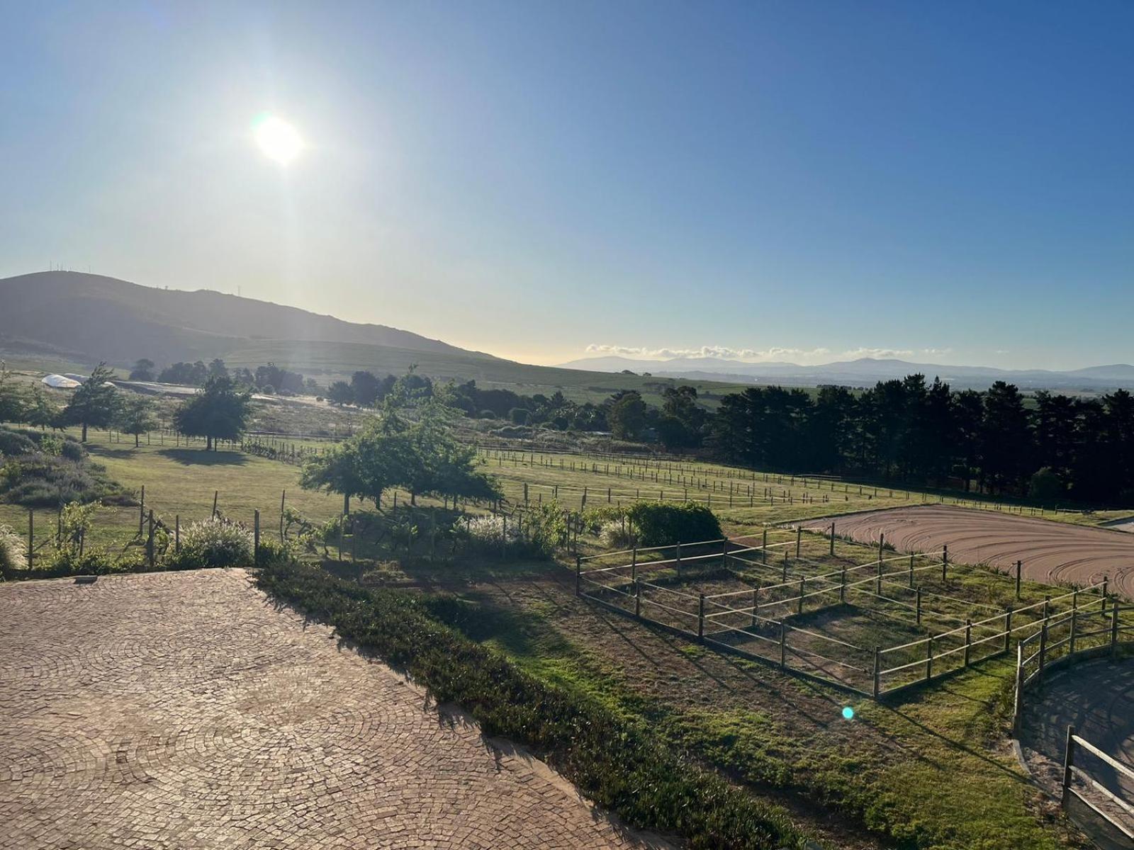 World of Horses Stables view 5