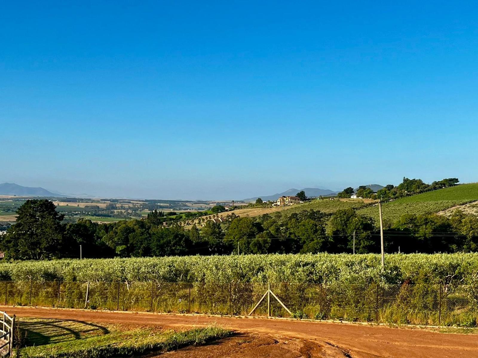 World of Horses Stables view 4