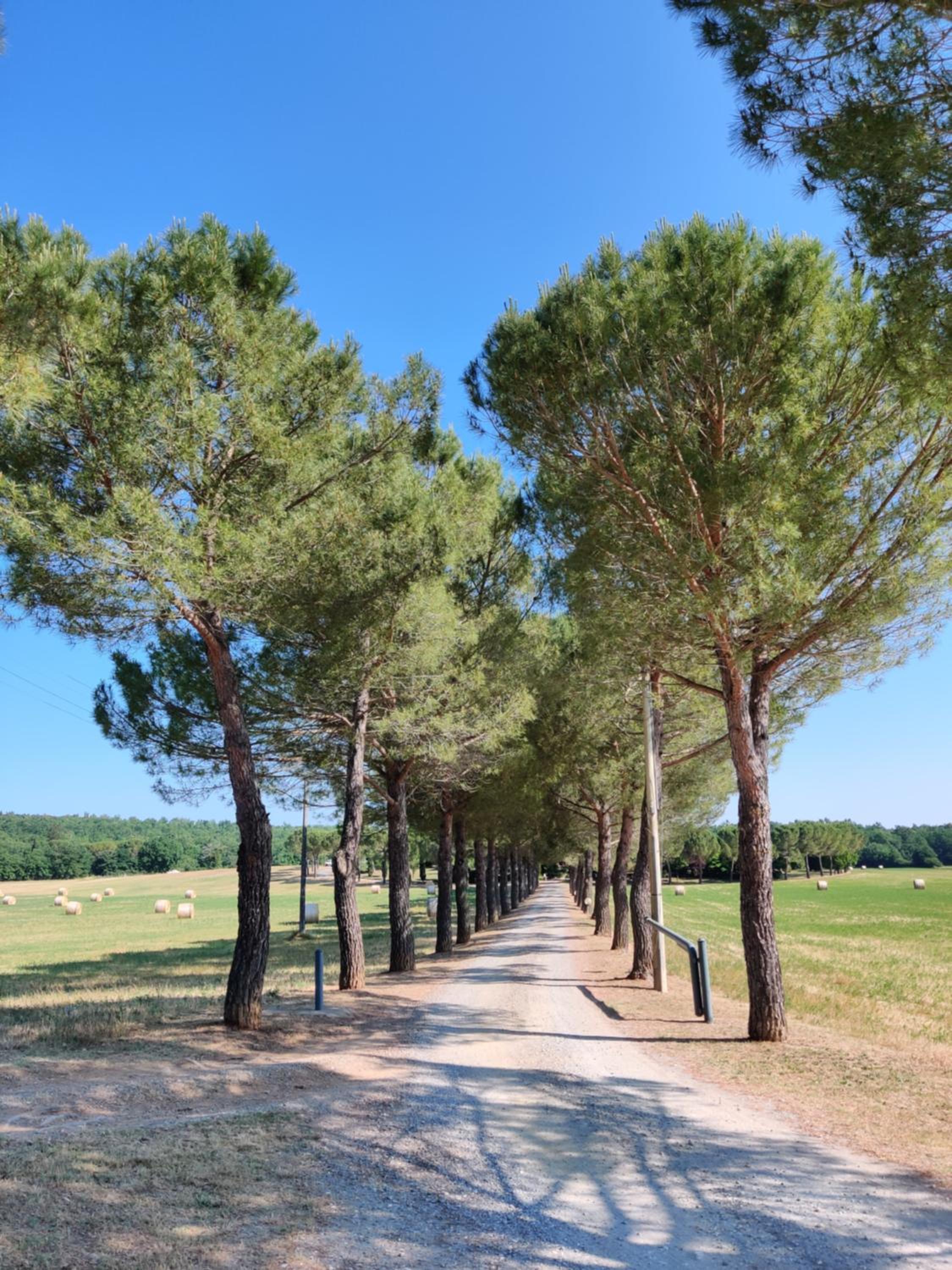 Fattoria Agriturismo Nerbona