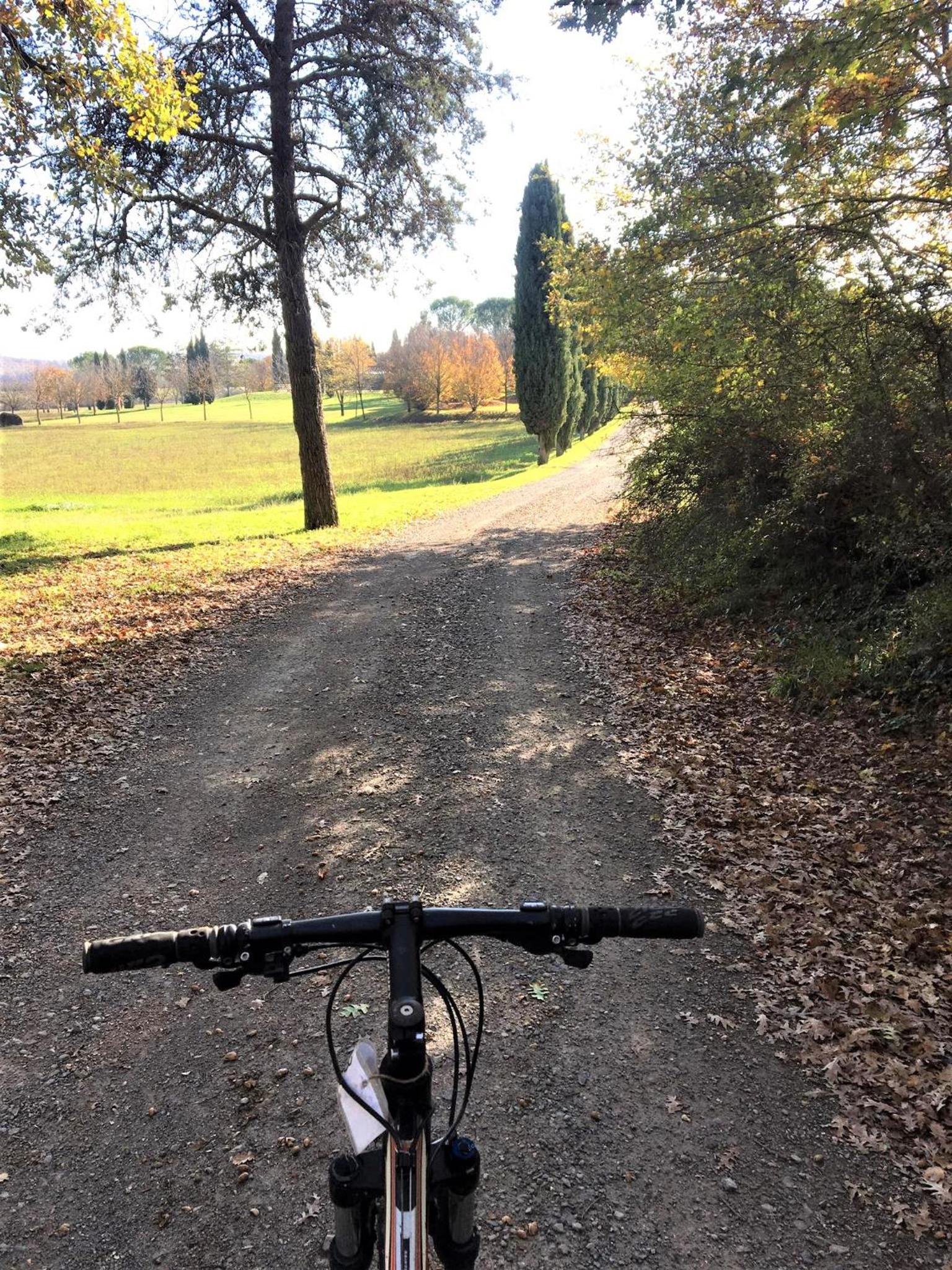 Fattoria Agriturismo Nerbona