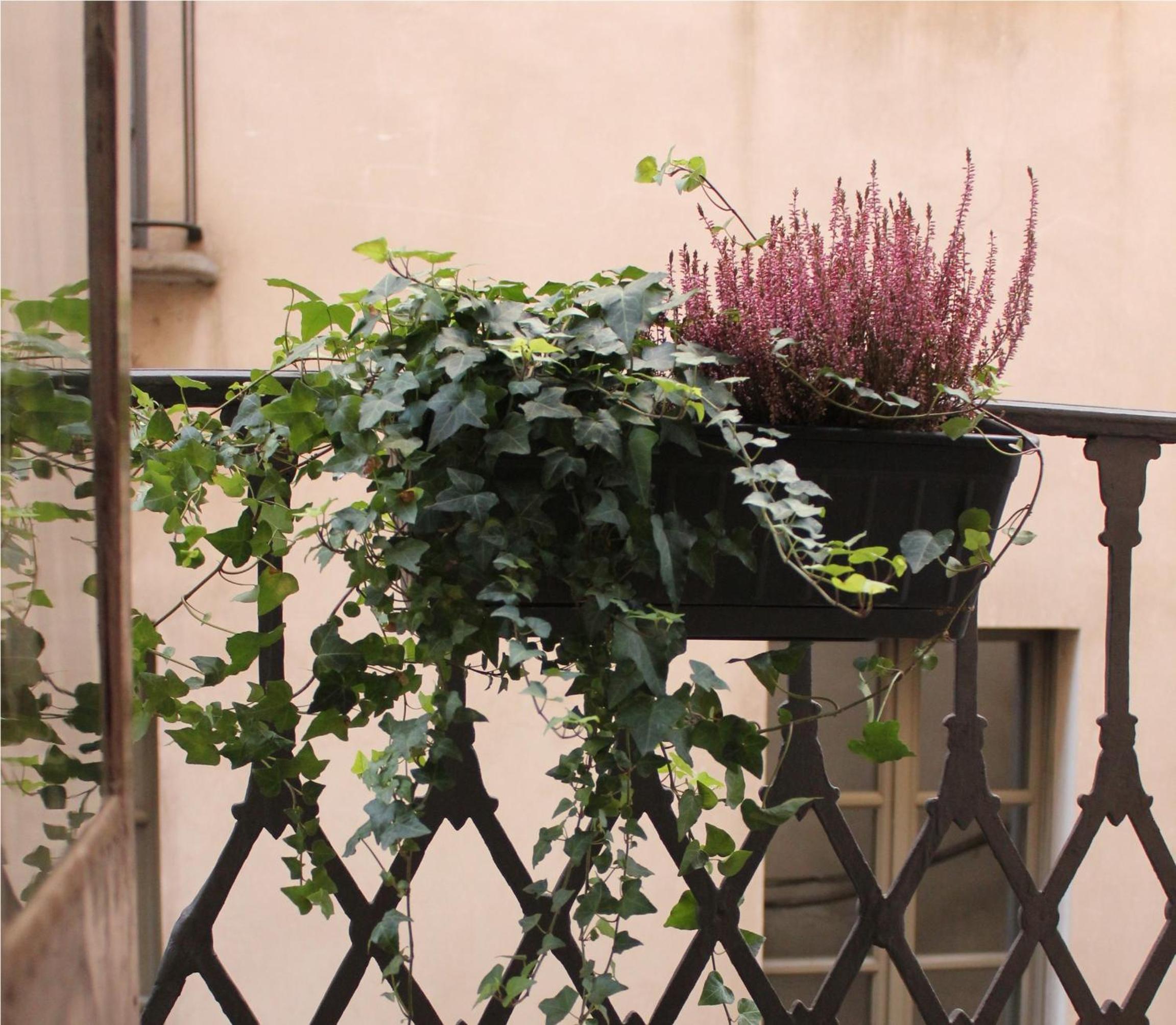 Centro Storico Home photo 1