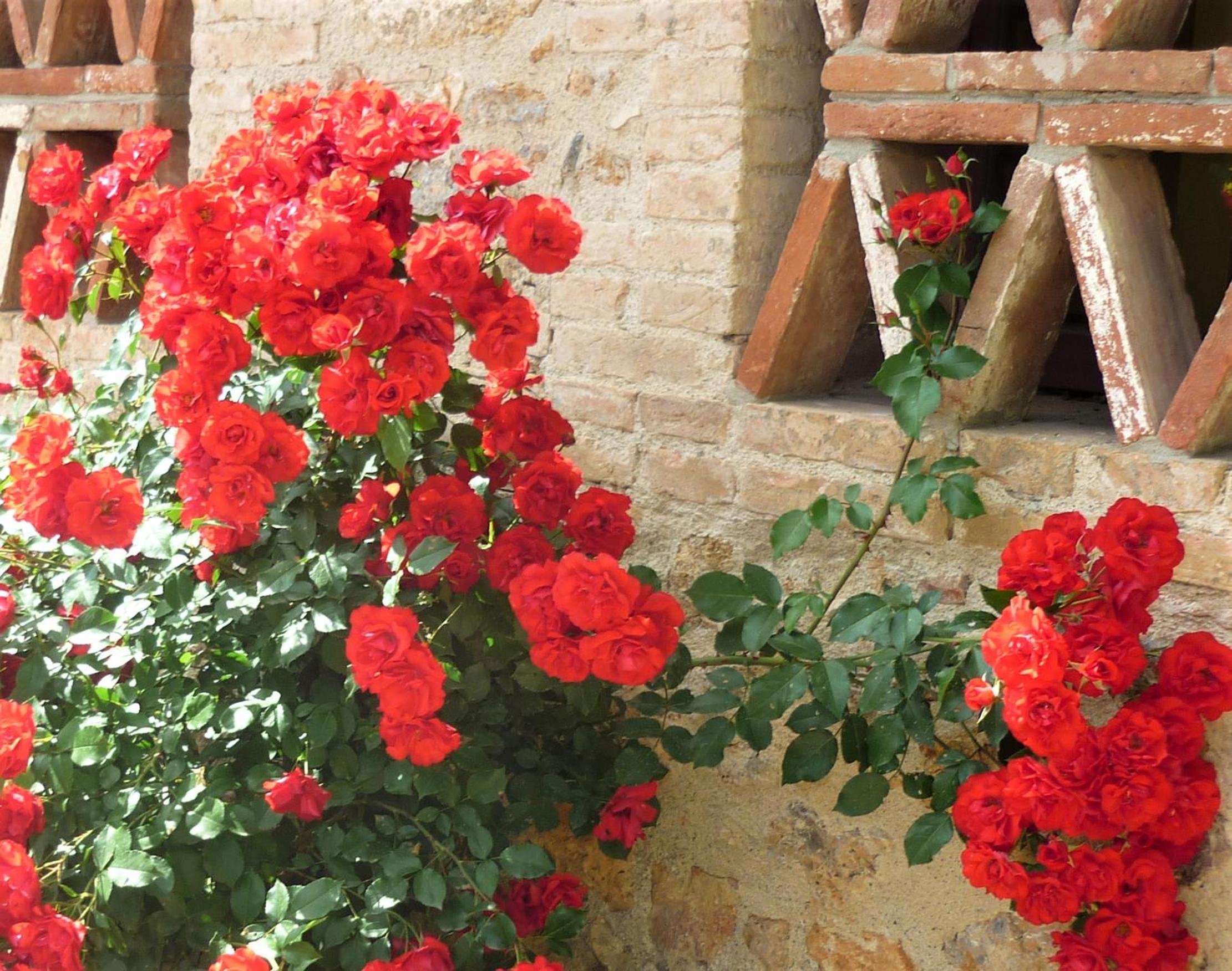 Fattoria Agriturismo Nerbona