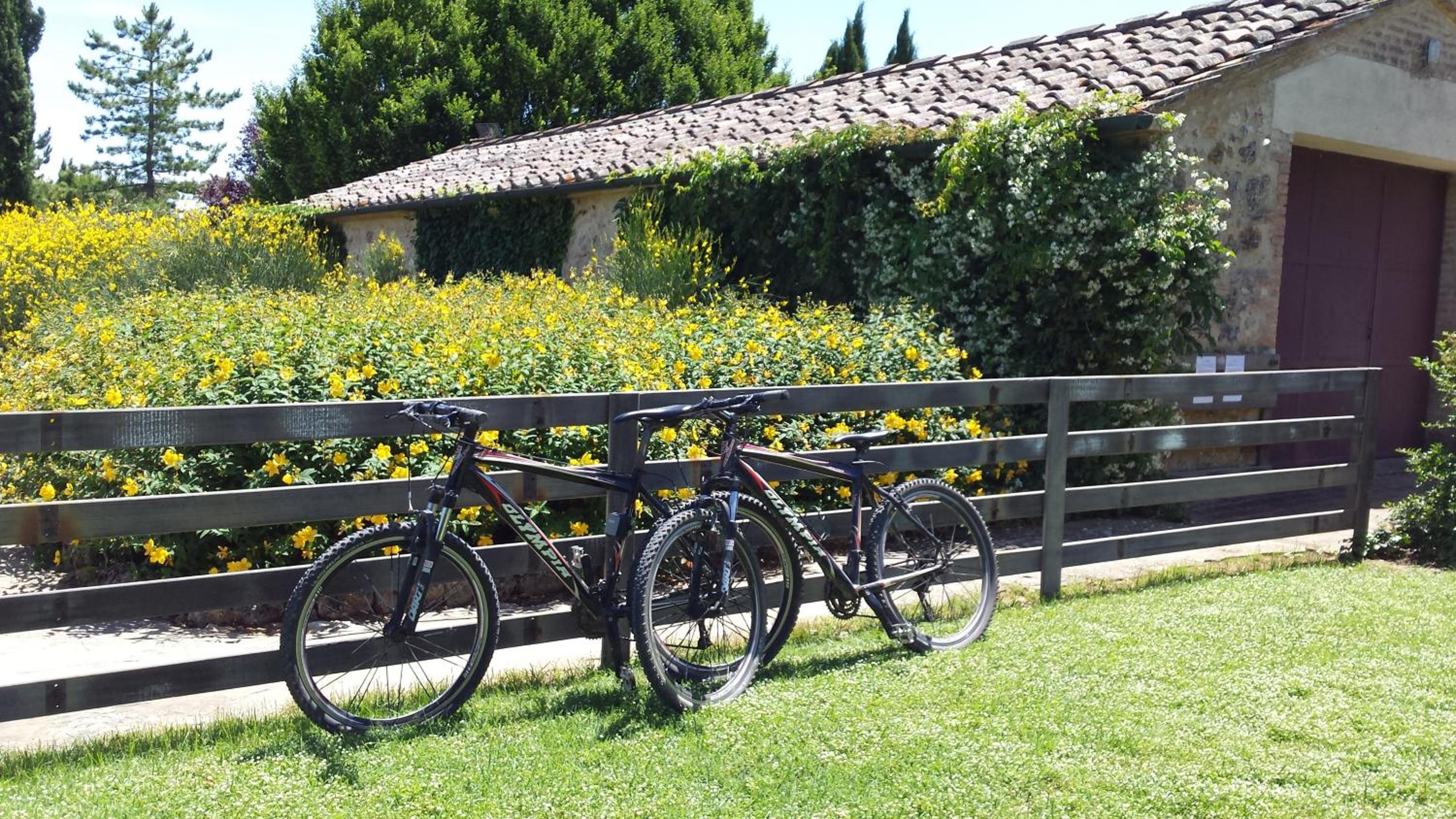 Fattoria Agriturismo Nerbona