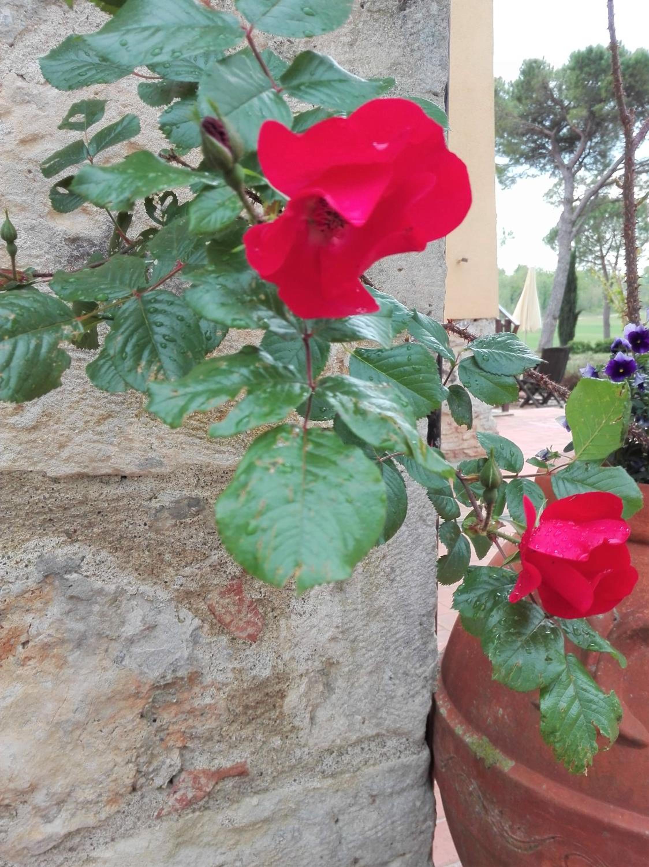 Fattoria Agriturismo Nerbona
