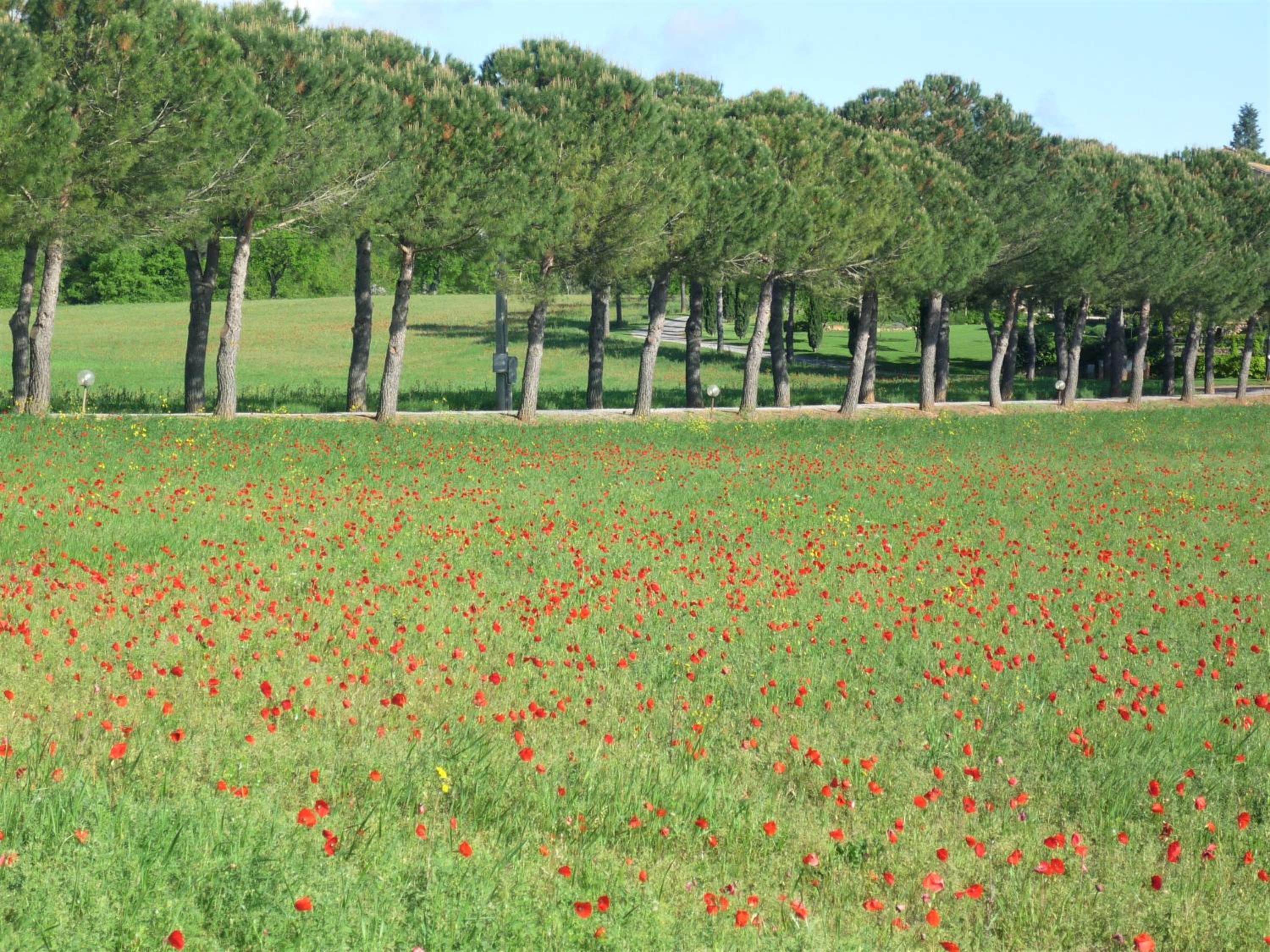 Fattoria Agriturismo Nerbona