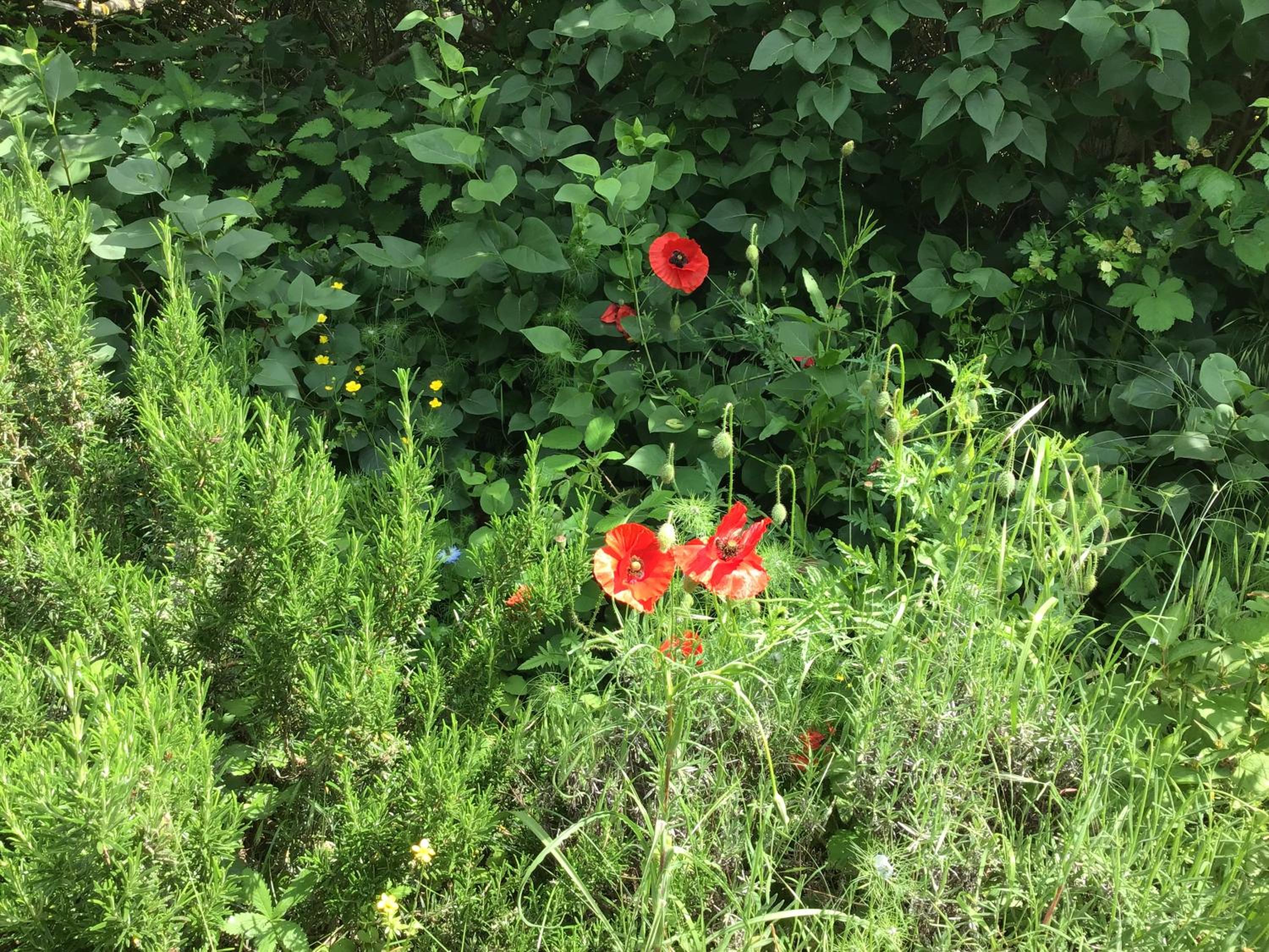 Photo 19