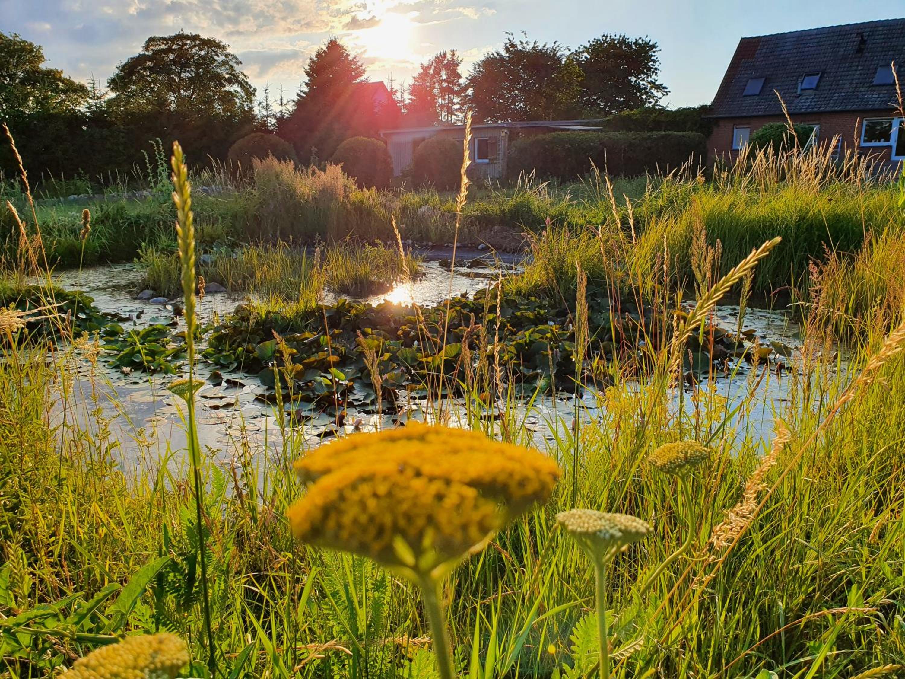Siedlerhaus Schönste Aussicht, Naturgarten & Sauna