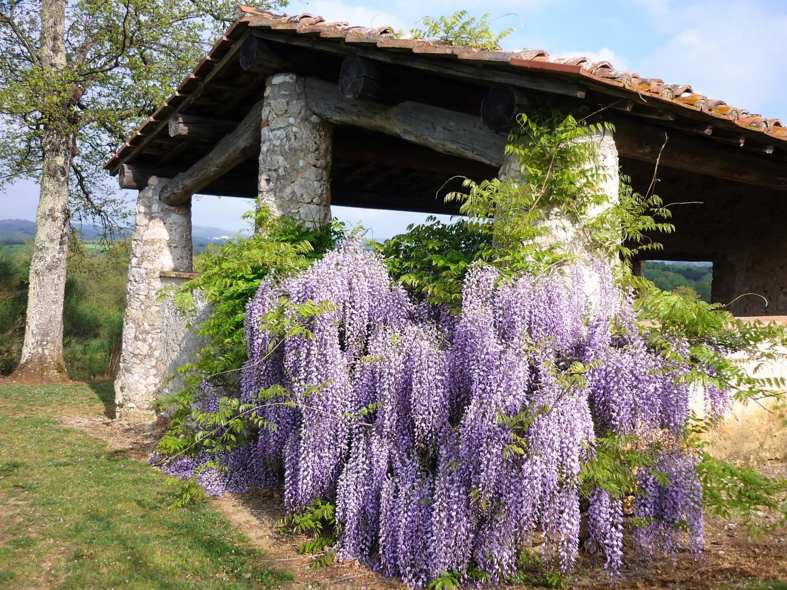 Fattoria Agriturismo Nerbona