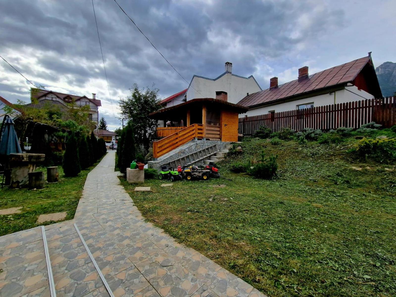 Photo 41