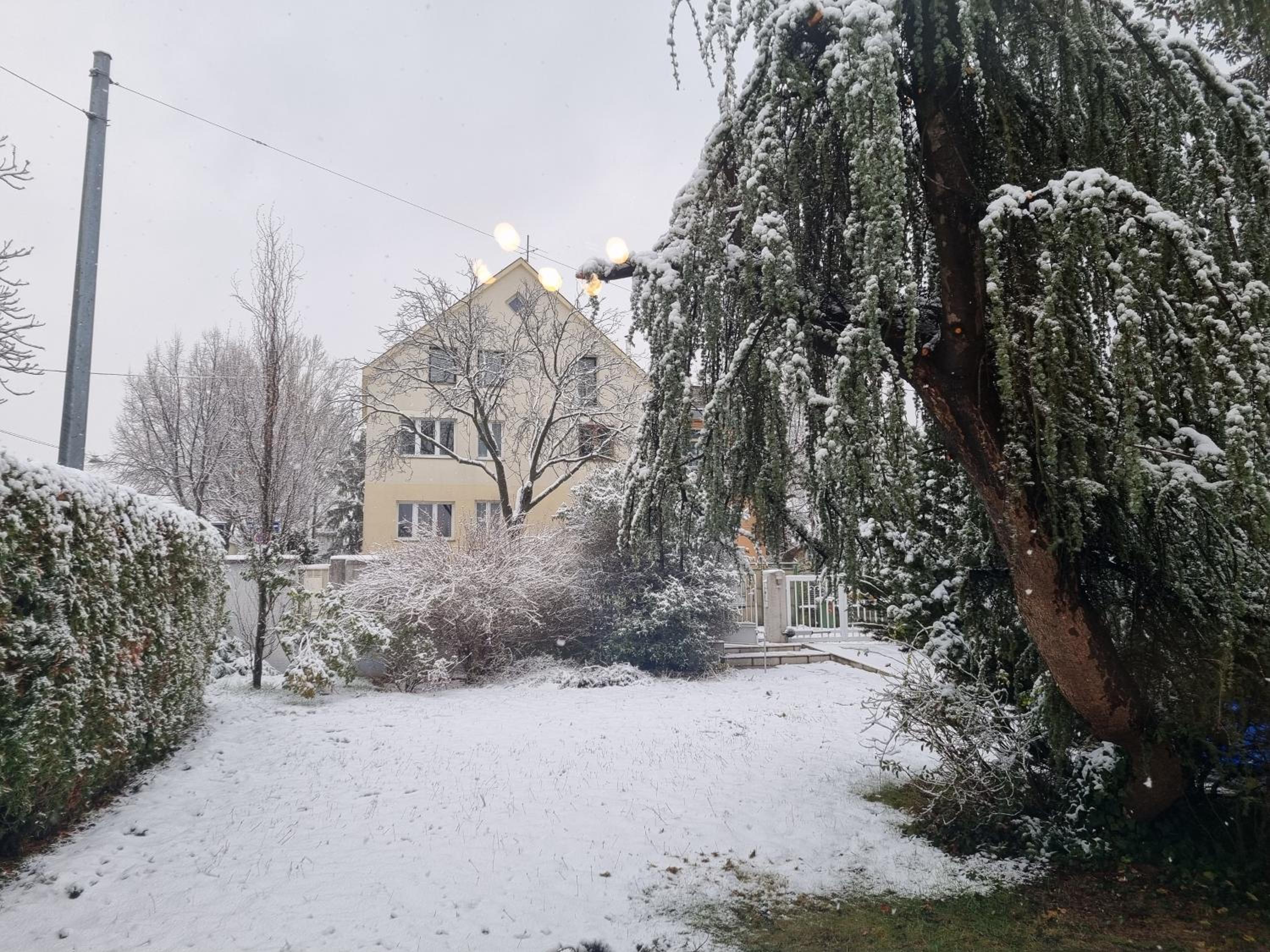 Villa with private Sauna and Jacuzzi, 8 min from Schloss Schöbrunn