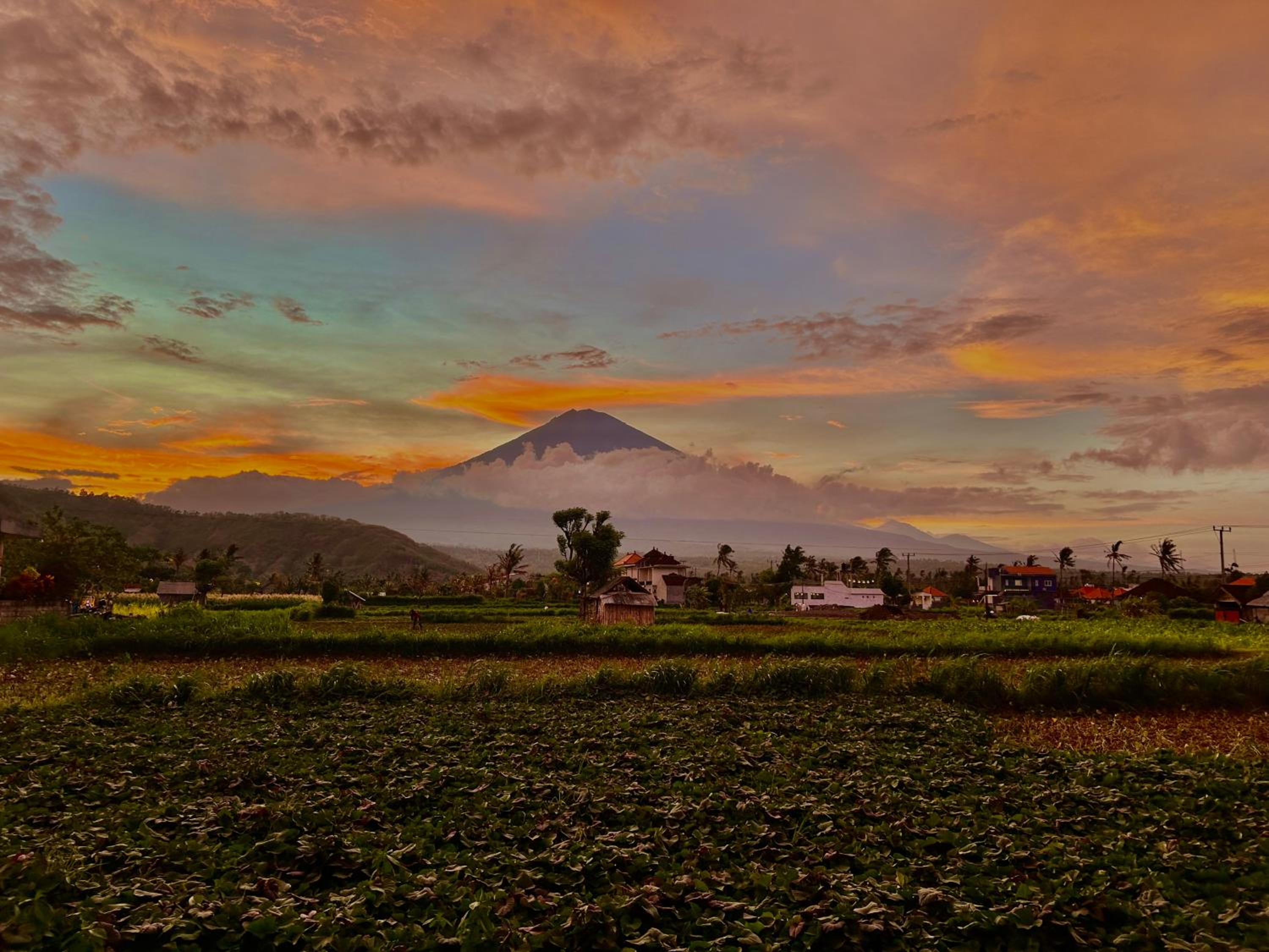 D'uma Amed Homestay