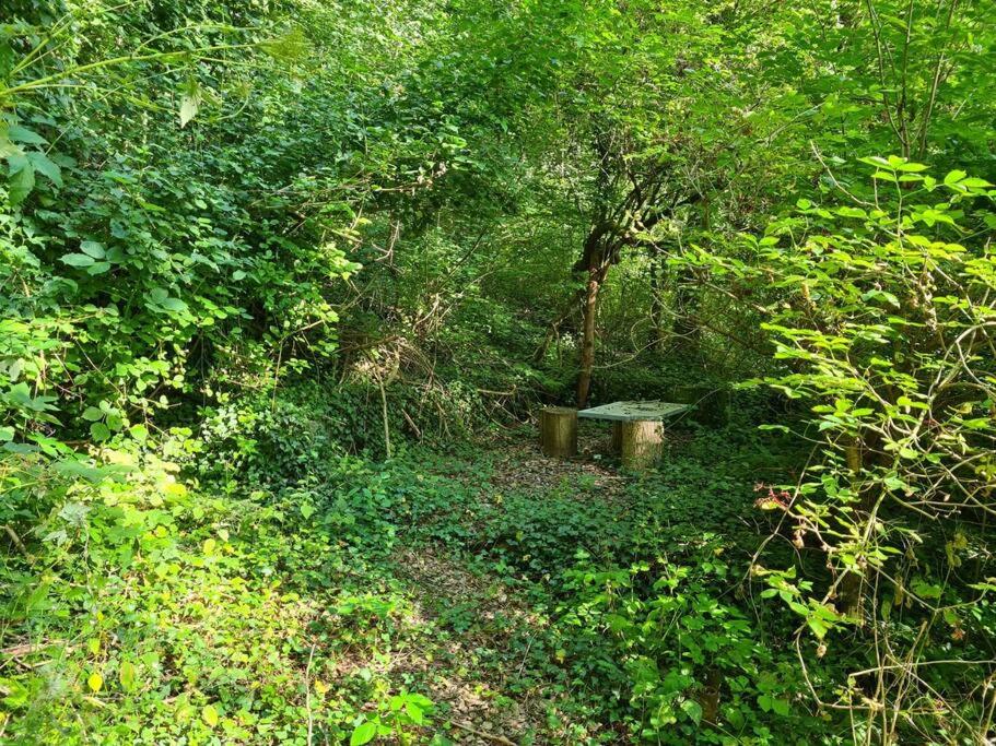 Naturoase Säntisblick-Auszeit am Wald und Bach