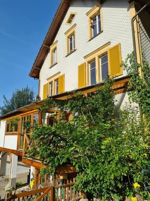 Naturoase Säntisblick-Auszeit am Wald und Bach