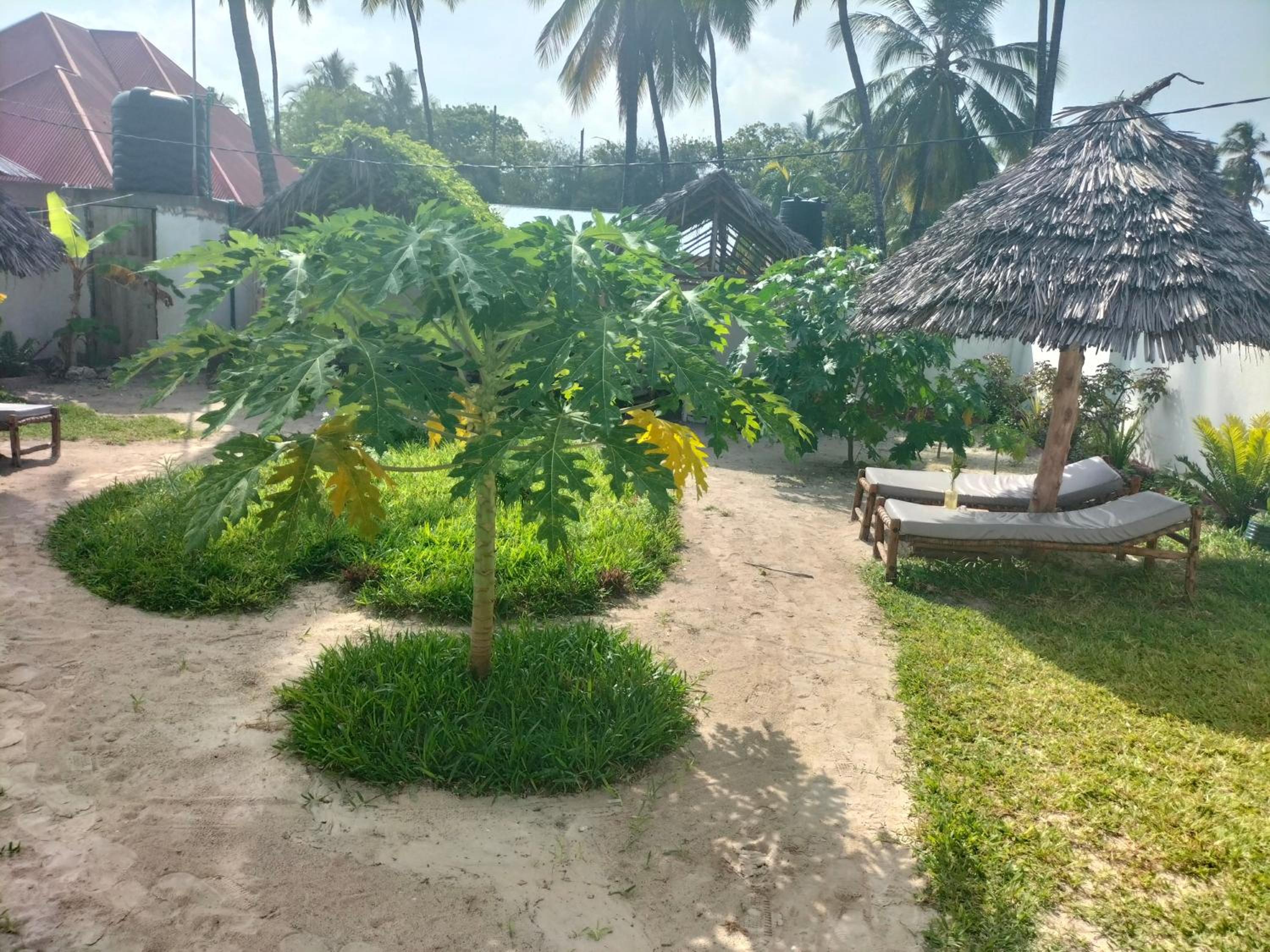 Photo 6