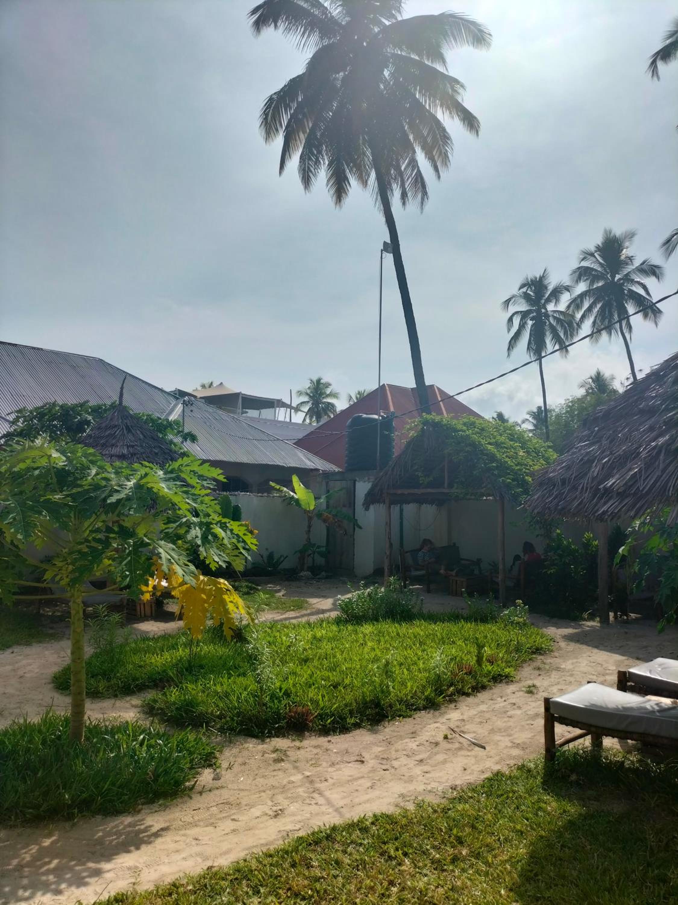 Mambo Leo Hostel view 5