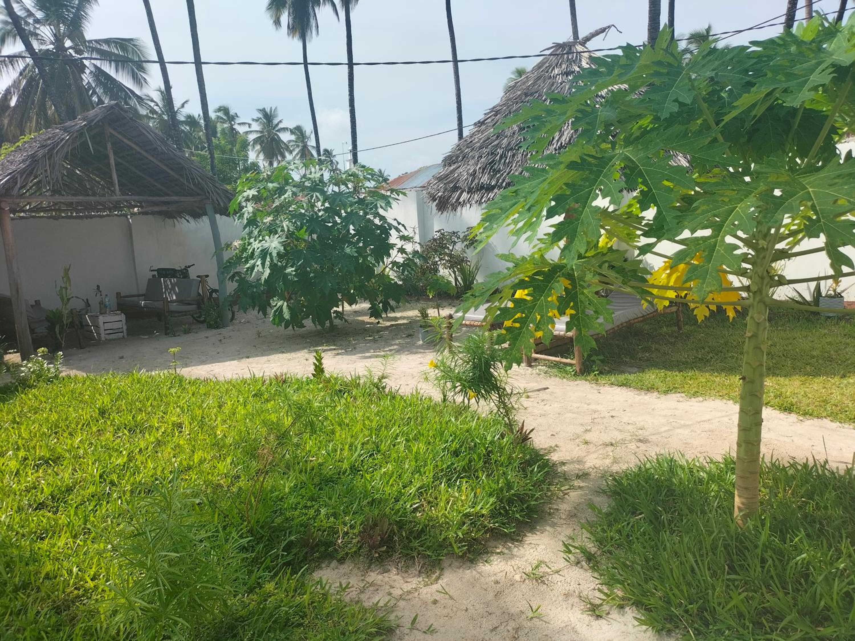Mambo Leo Hostel view 4