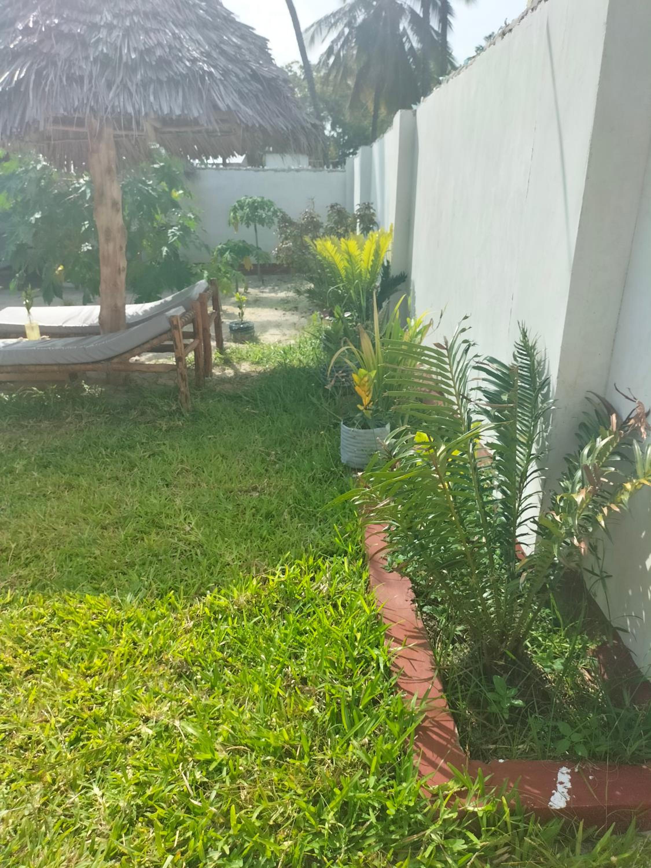 Mambo Leo Hostel view 3