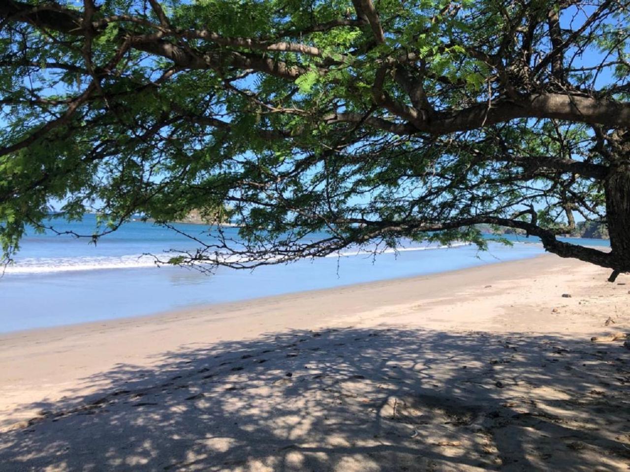 Cabinas de Lou Eco Lodge TAMARINDO